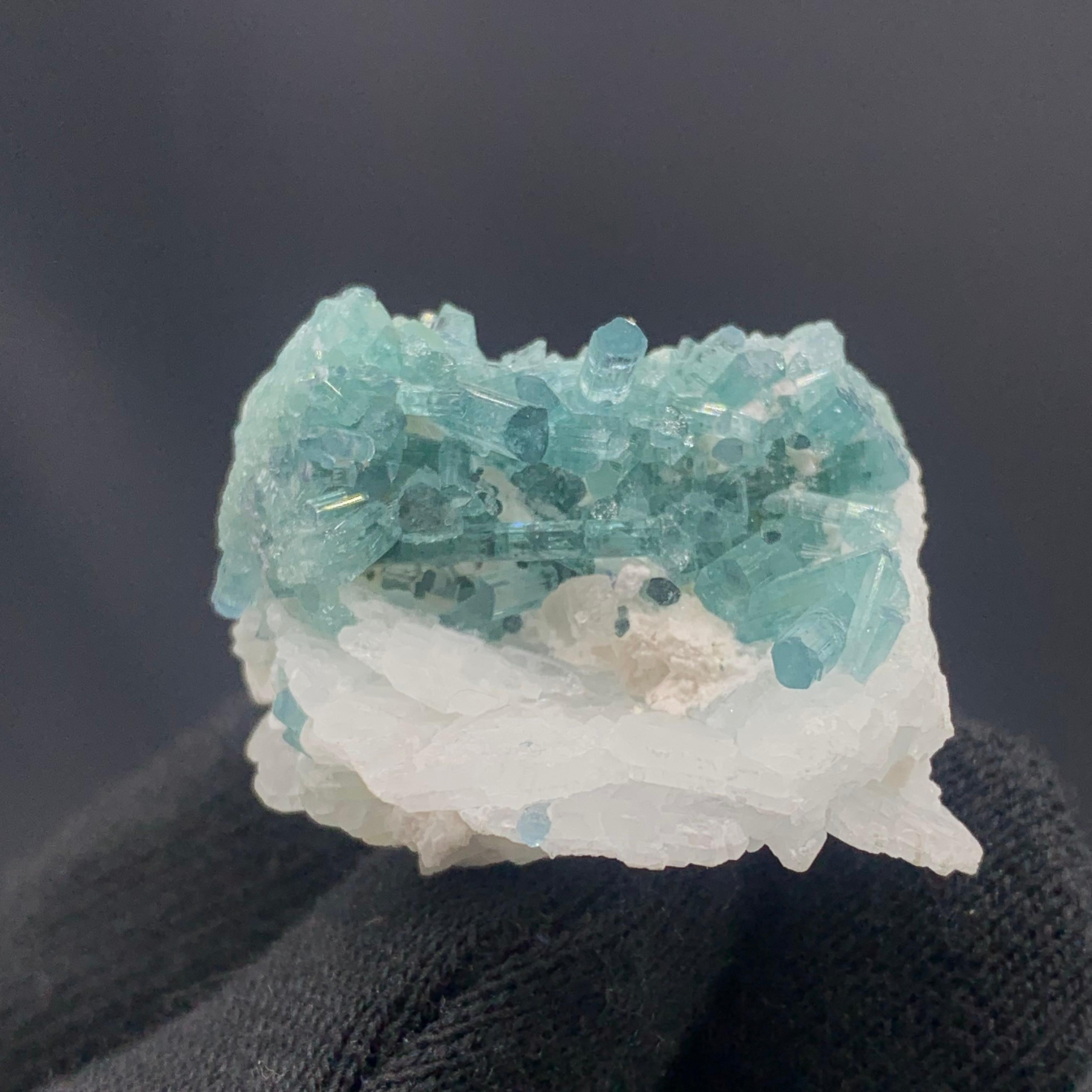 Beautiful Tourmalines Specimen On Albite From Kunar, Afghanistan
WEIGHT: 17.91 grams
DIMENSIONS: 2.5 x 3.1 x 2.7 Cm
ORIGIN: Kunar, Afghanistan
TREATMENT: None

Tourmaline is an extremely popular gemstone; the name Tourmaline is derived from