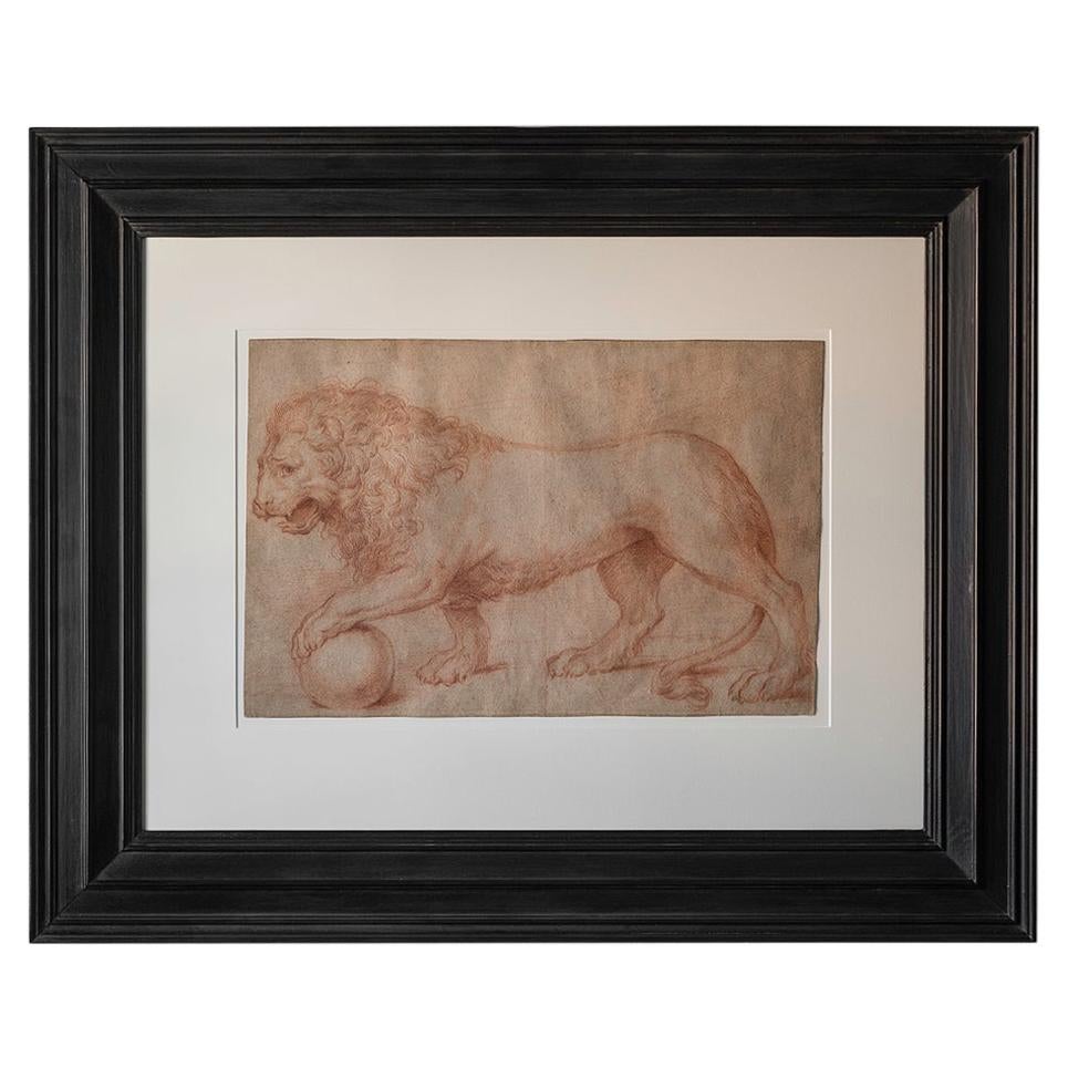 Beautiful 17th Century Red Chalk Drawing of the Medici Lion by Domenico Vacca