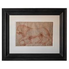 Beautiful 17th Century Red Chalk Drawing of the Medici Lion by Domenico Vacca