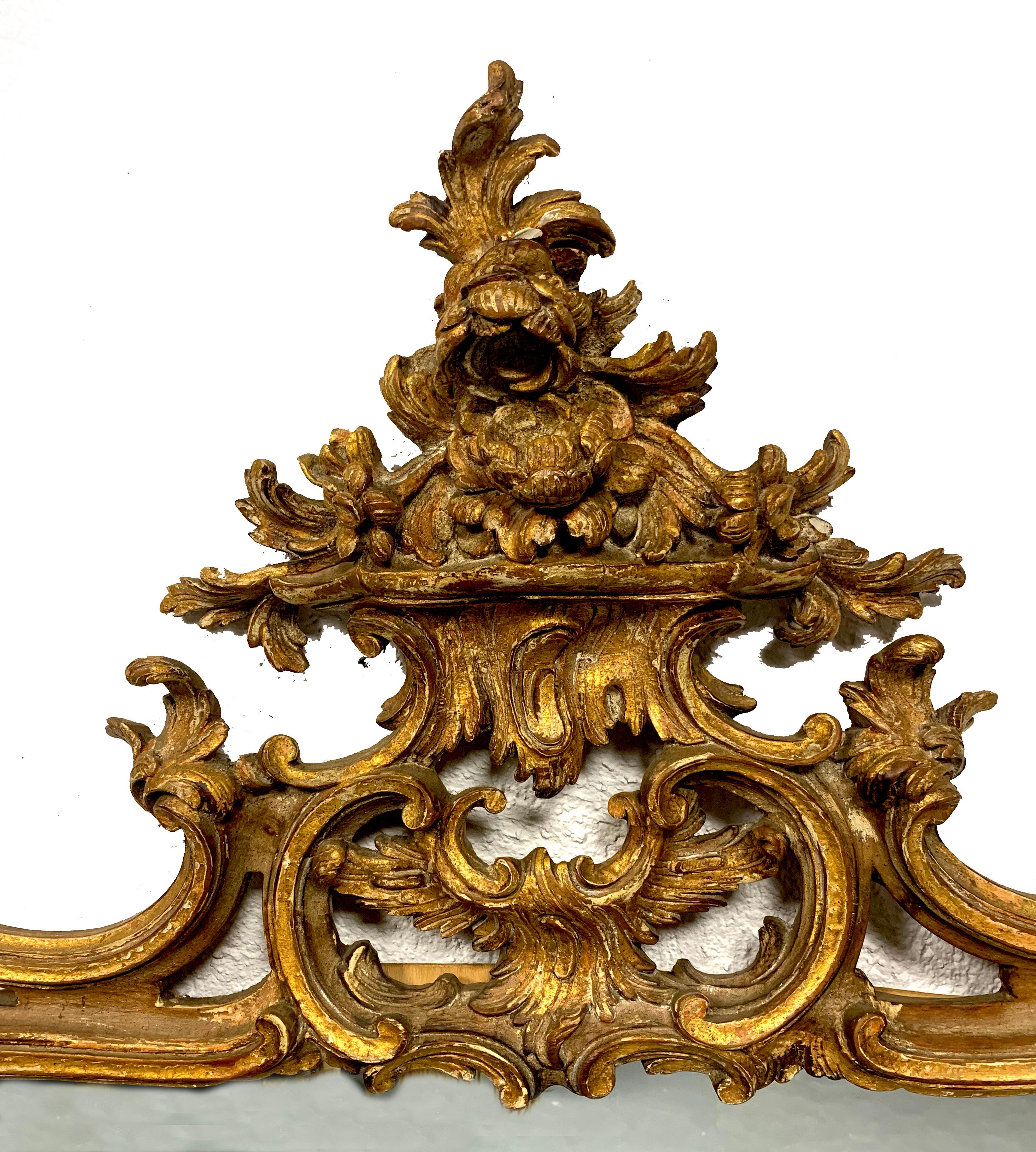 European Beautiful 19th Century Gilded Wood Mirror For Sale