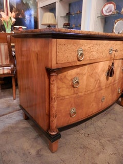 Schöne Biedermeier Kommode aus satiniertem Birkenholz und Ebonisierung aus dem 19