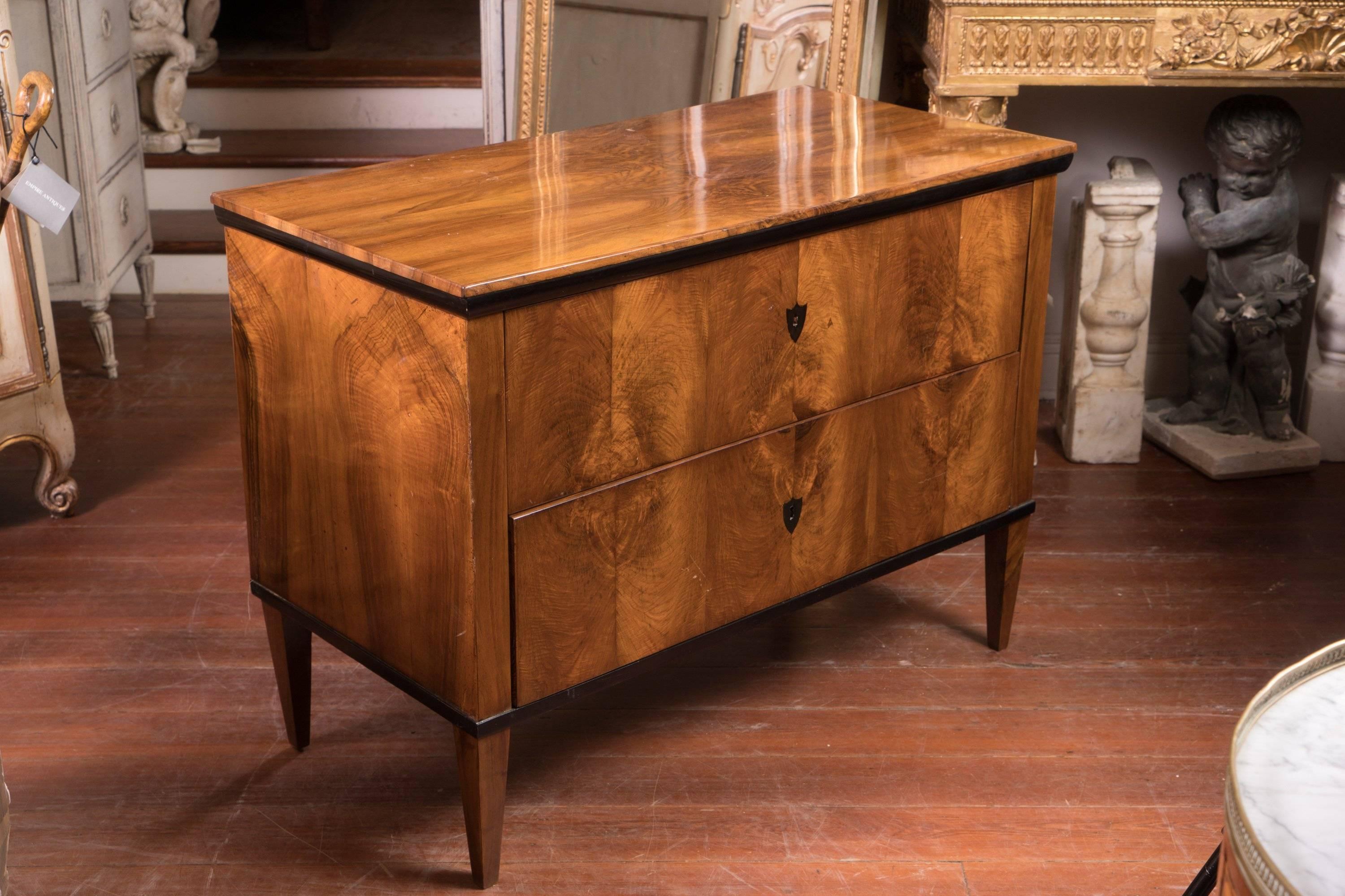 Stunning honey colored maple and ebony commode. Early 19th century Northern European simple and chic two-drawer commode.