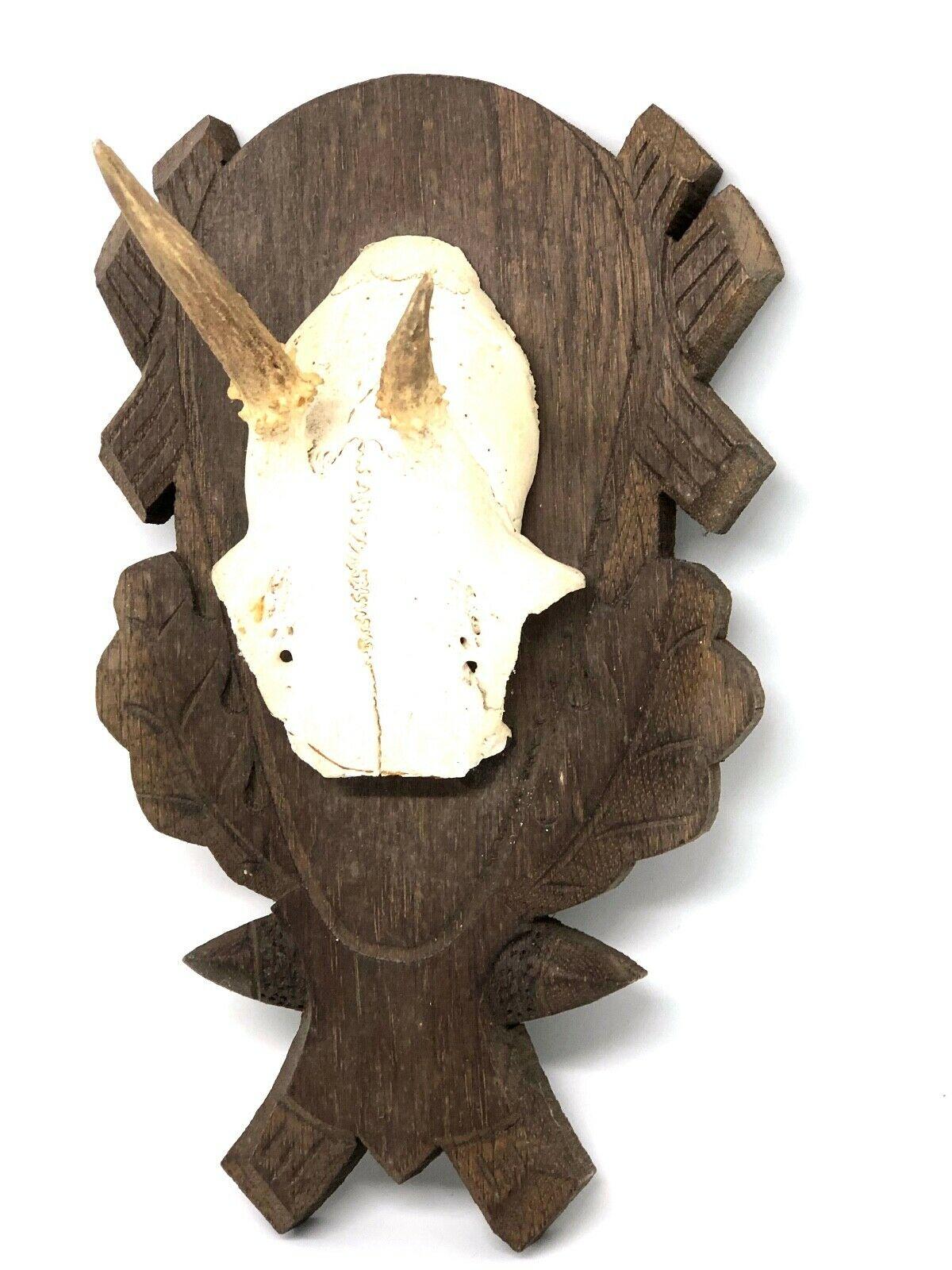 A beautiful vintage Black Forest deer antler trophy on hand carved, Black Forest wooden plaque. It measures approximate 9 1/8