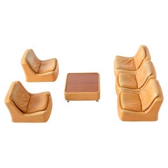 Beautiful and Playful Sofa Set by Unknown Designer or Manufacturer, Germany 1970