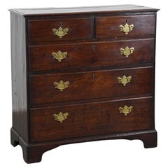 Beautiful antique 19th-century English chest of drawers with 5 drawers 