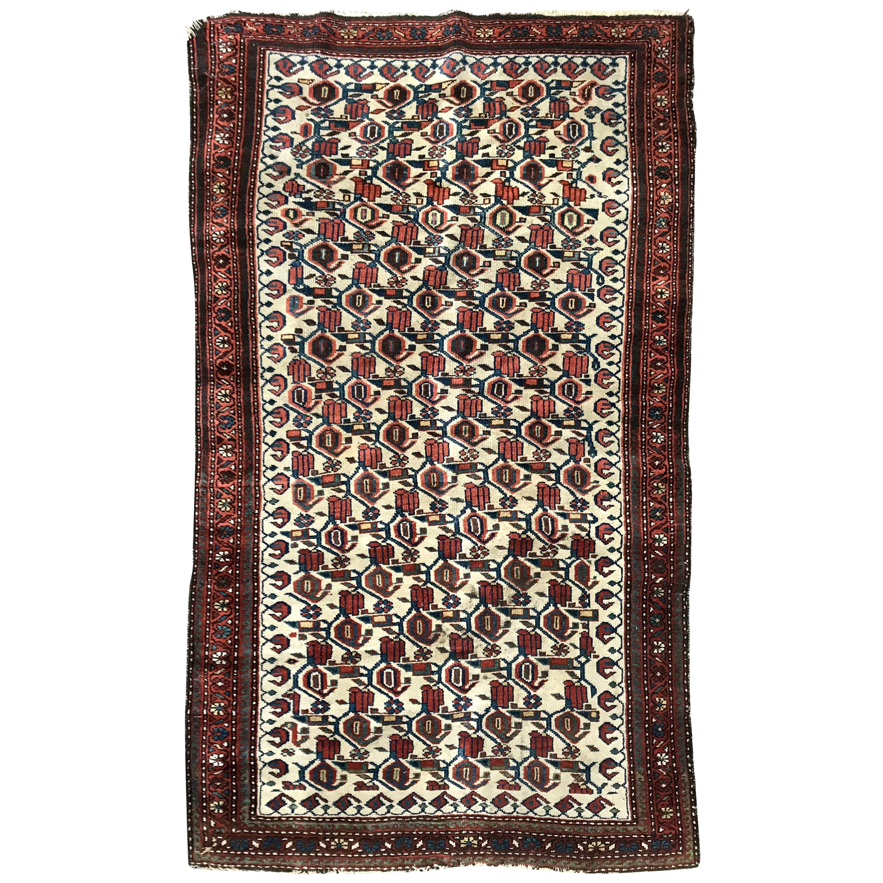 Beautiful Antique Kurdish Malayer Rug