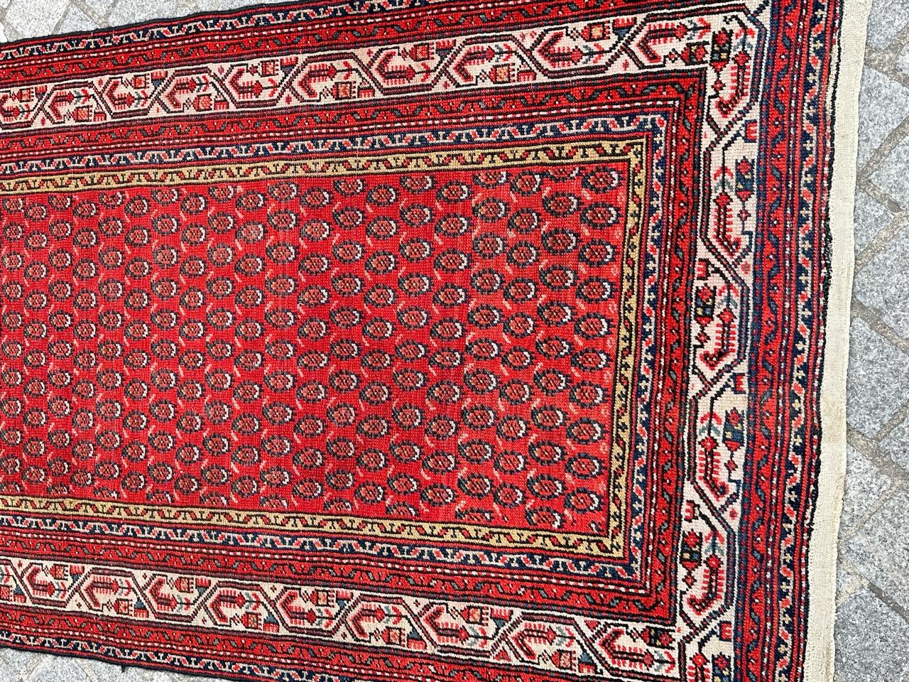 Step into a world of refined elegance with our Pretty late 19th Century Malayer runner. This captivating piece is a testament to exquisite craftsmanship, entirely hand-knotted with wool velvet on a cotton foundation. Adorned with a beautiful design