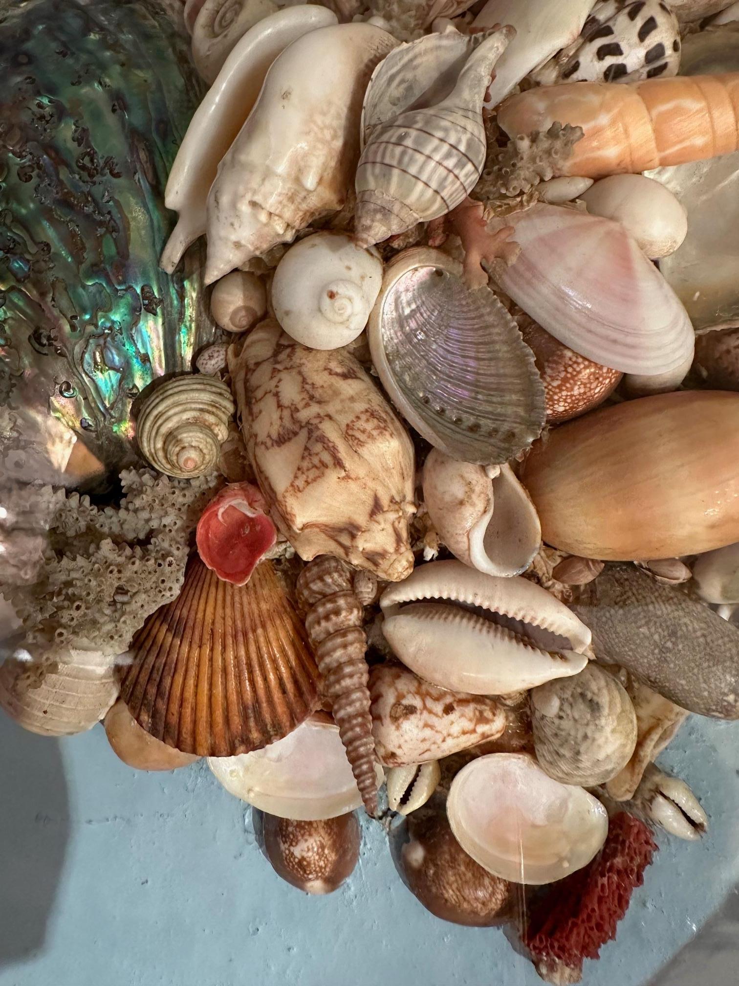 Schönes ovales Muscheldiorama aus Nantucket aus dem 19. Jahrhundert mit einer kunstvoll arrangierten Sammlung natürlicher Muscheln vor blassblauem Hintergrund.  Der Rahmen ist aus dunklem Holz und hat ein weißes Passepartout und ein vergoldetes