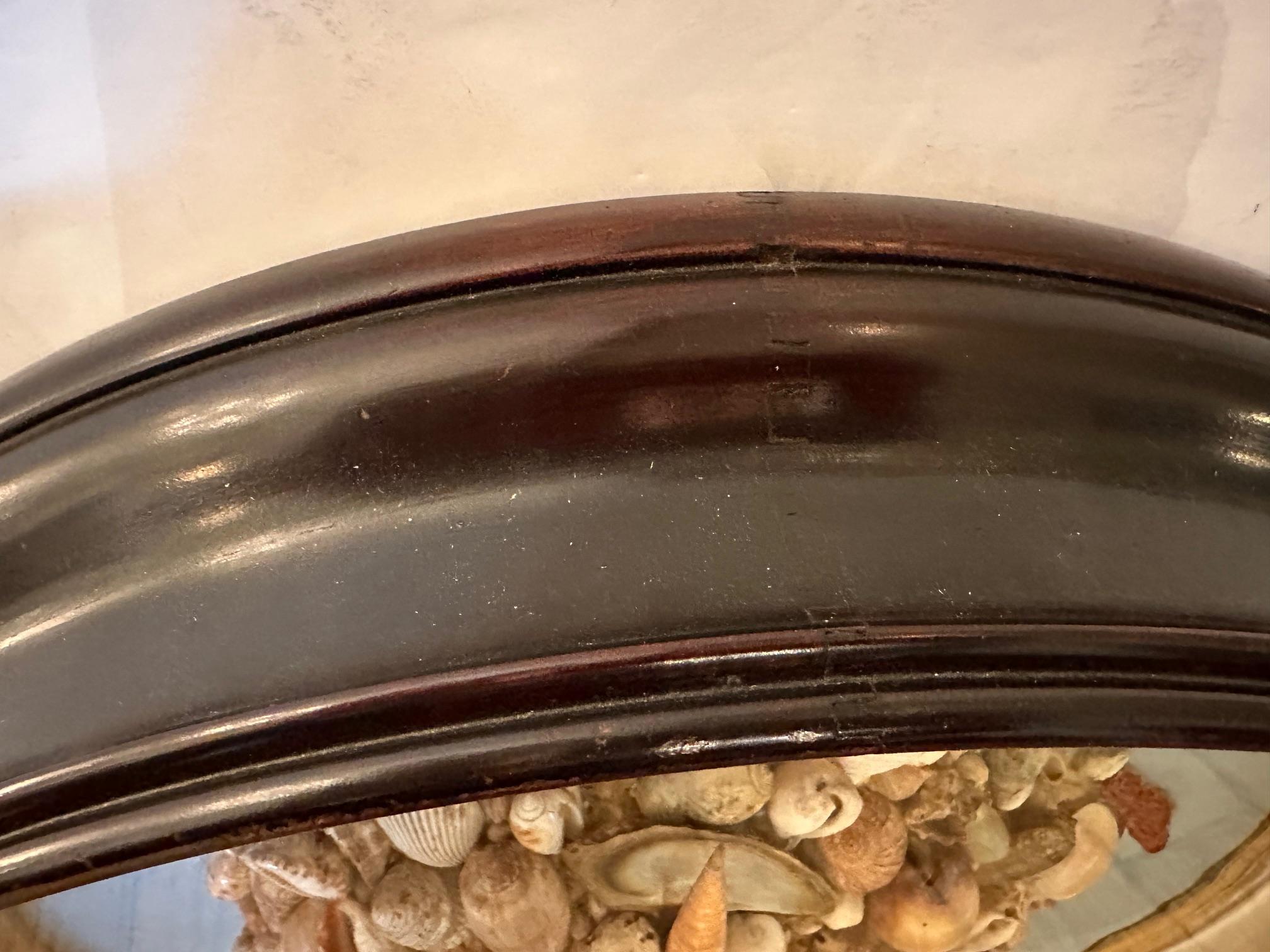 Schöne antike ovale Muschel-Schirmschachtel Diorama (19. Jahrhundert) im Angebot