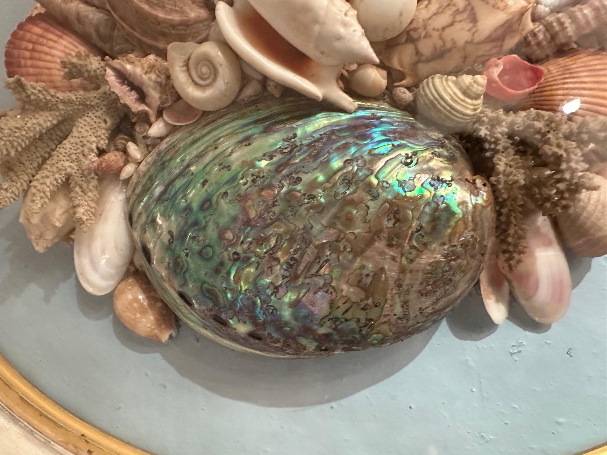 Schöne antike ovale Muschel-Schirmschachtel Diorama im Angebot 2
