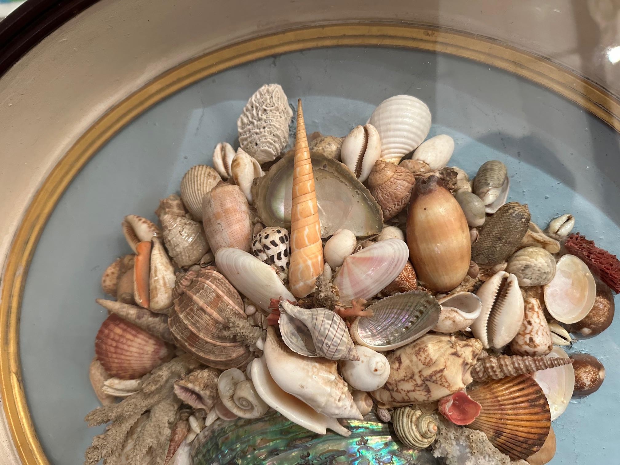 Schöne antike ovale Muschel-Schirmschachtel Diorama im Angebot 3