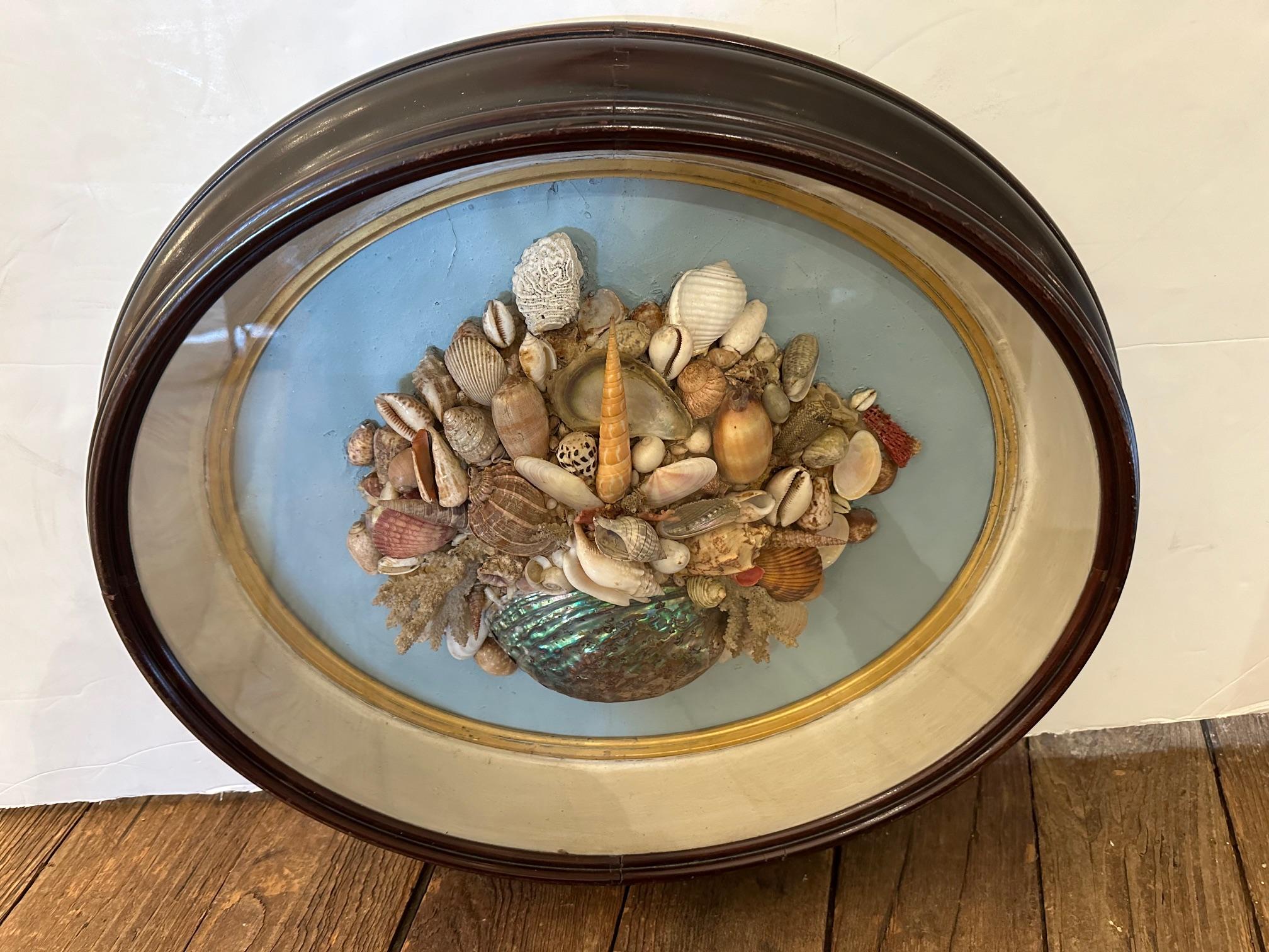 Beautiful Antique Oval Shell Shadow Box Diorama For Sale 4