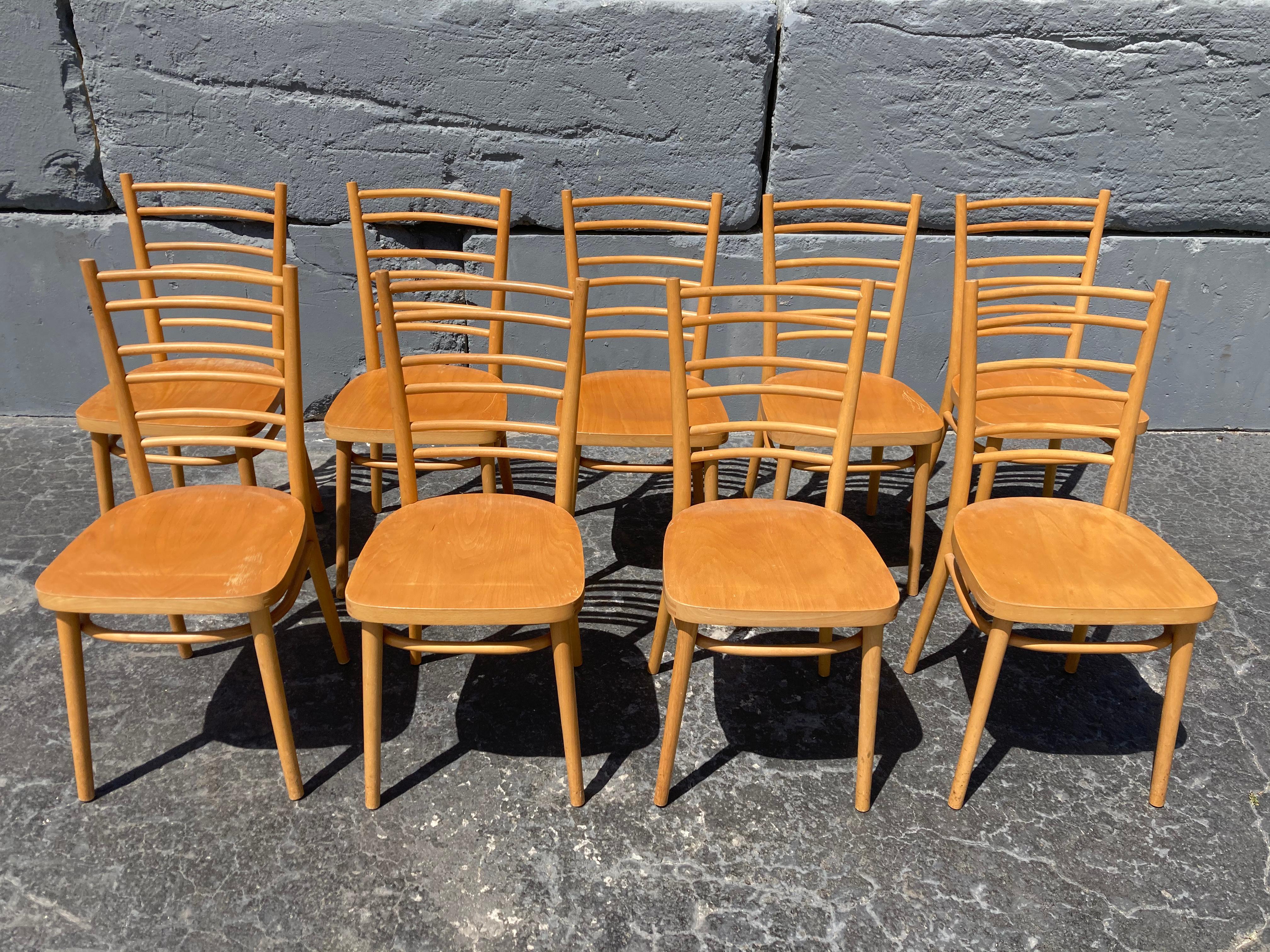 Beautiful Bentwood Dining Chairs, in the Style of Thonet For Sale 3