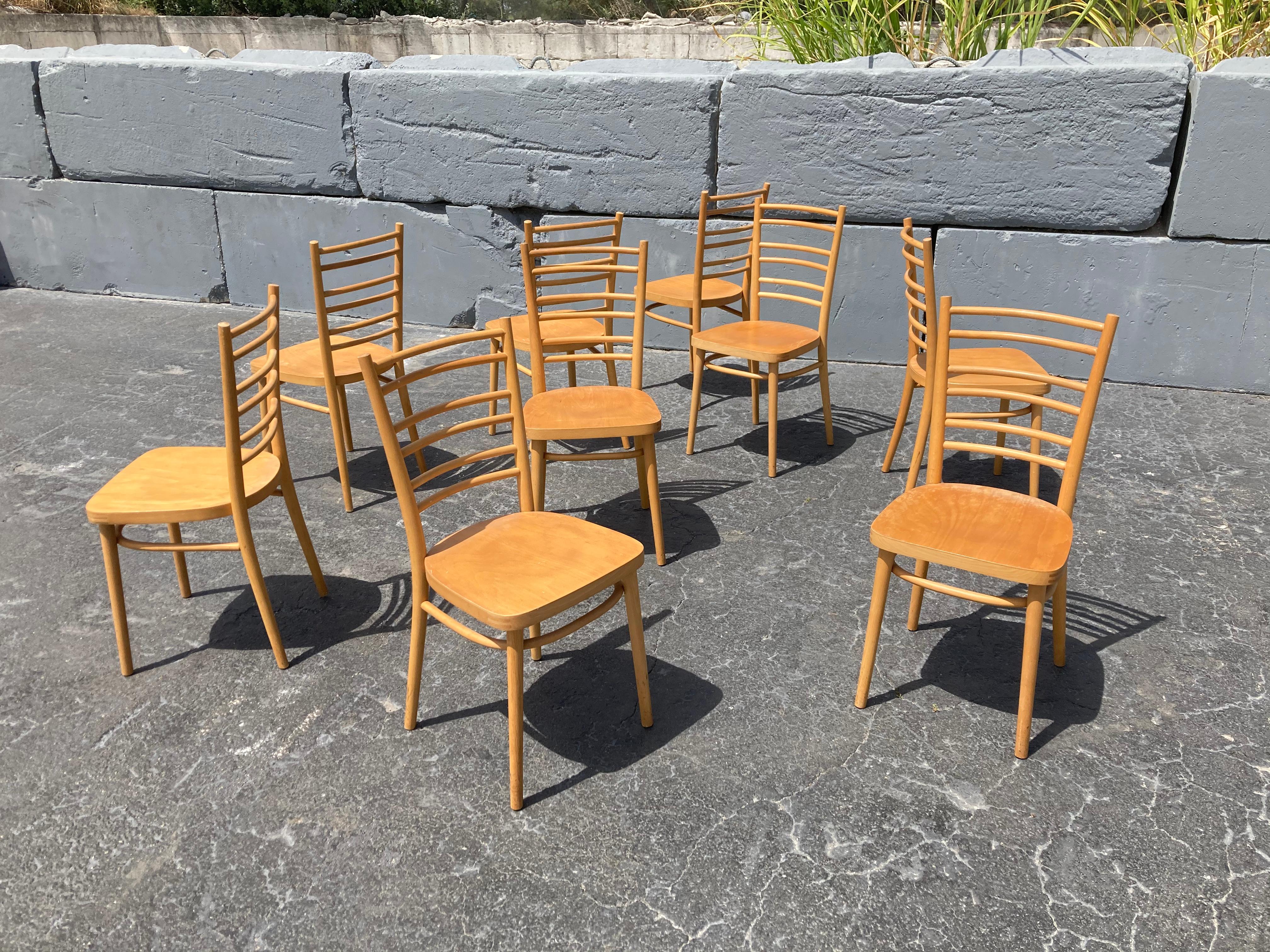 Beautiful Set of Bentwood Dining Chairs, in the Style of Thonet For Sale 4