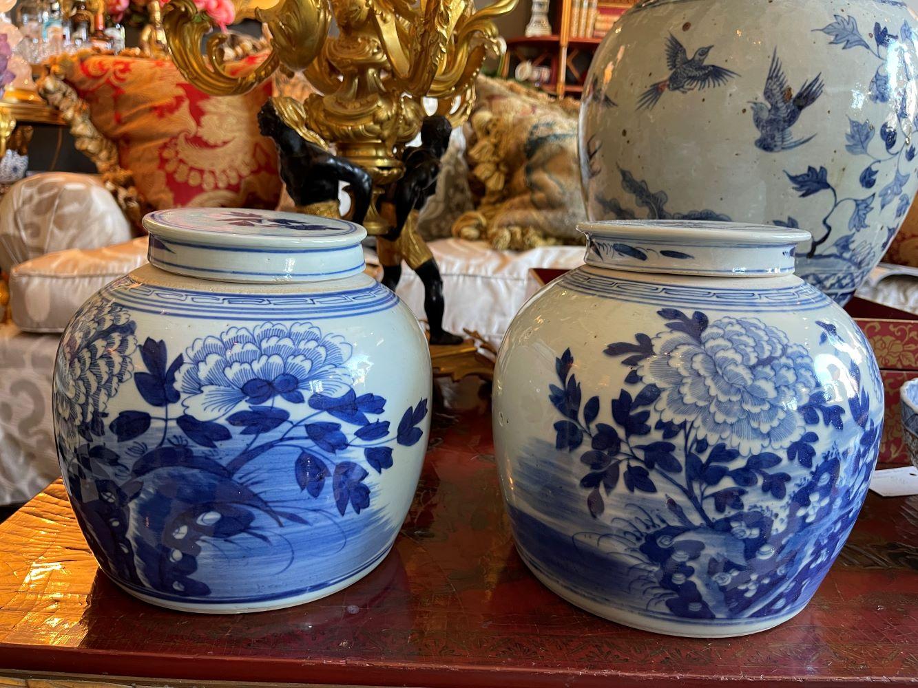 Pareja de jarras con tapa de porcelana china Kangxi azul y blanca decoradas con un motivo floral
8-1/2