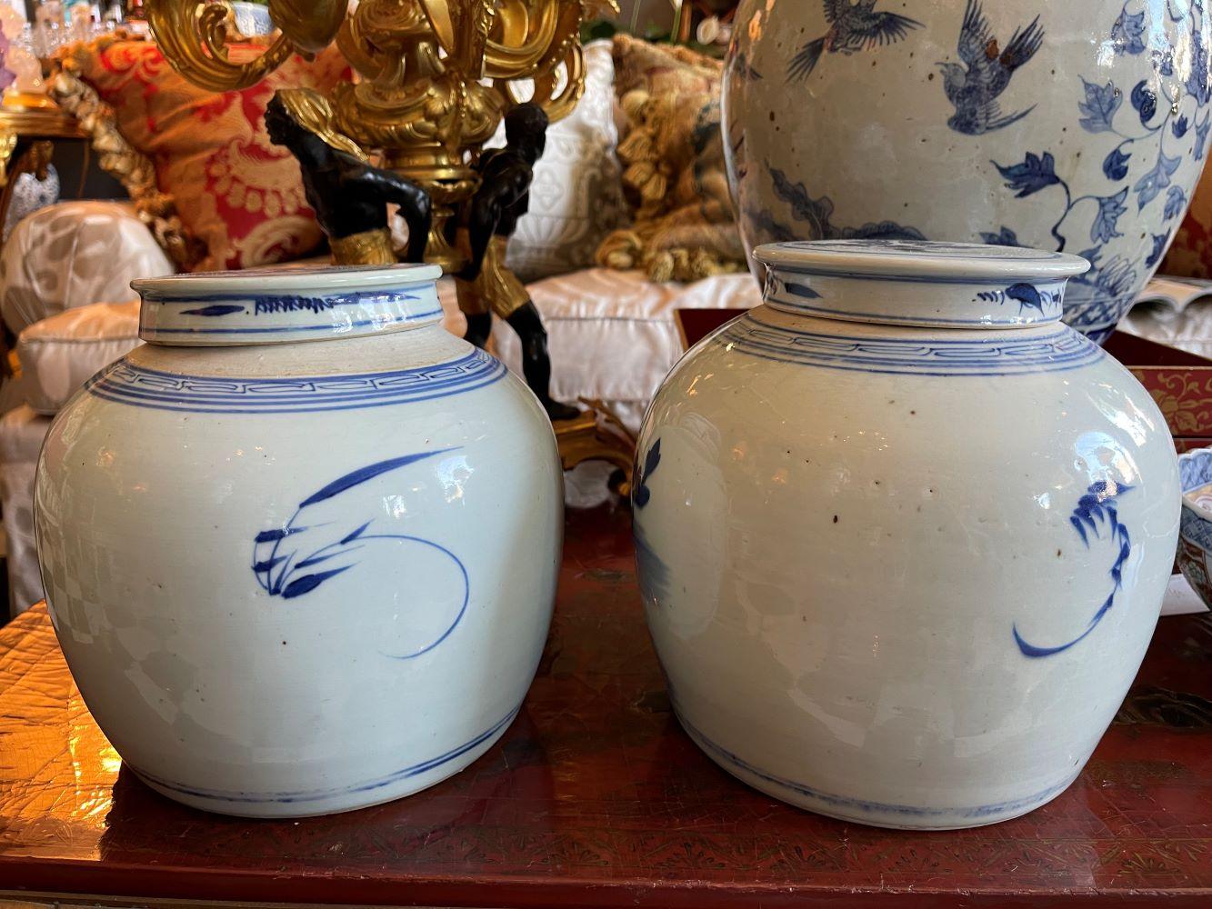 Preciosos tarros con tapa de porcelana china azul y blanca estilo Kangxi Porcelana en venta