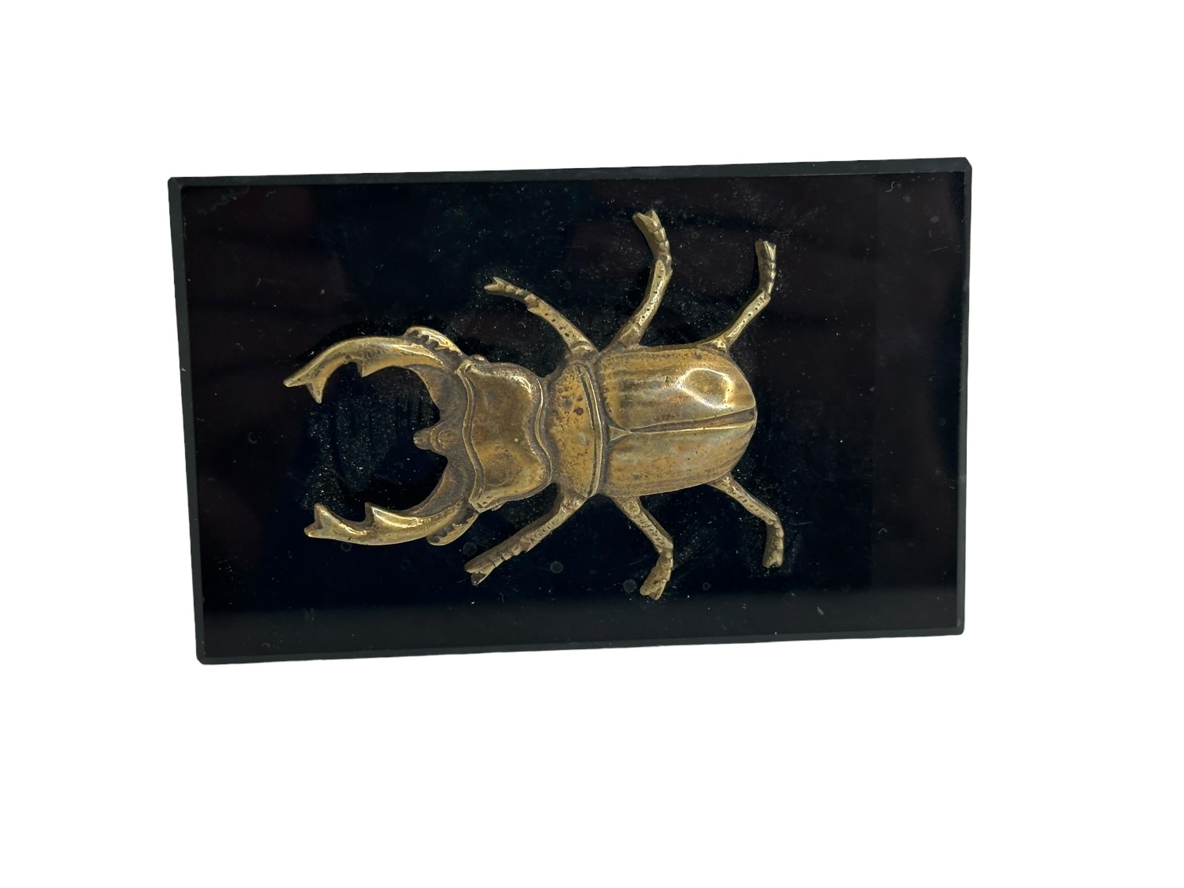 Bronzo bellissima scultura in bronzo di un cervo scarabeo, vintage Germania, 1890 in vendita