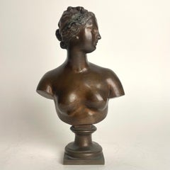 Beautiful Bust of Venus/Aphrodite in Bronze from the 19th Century