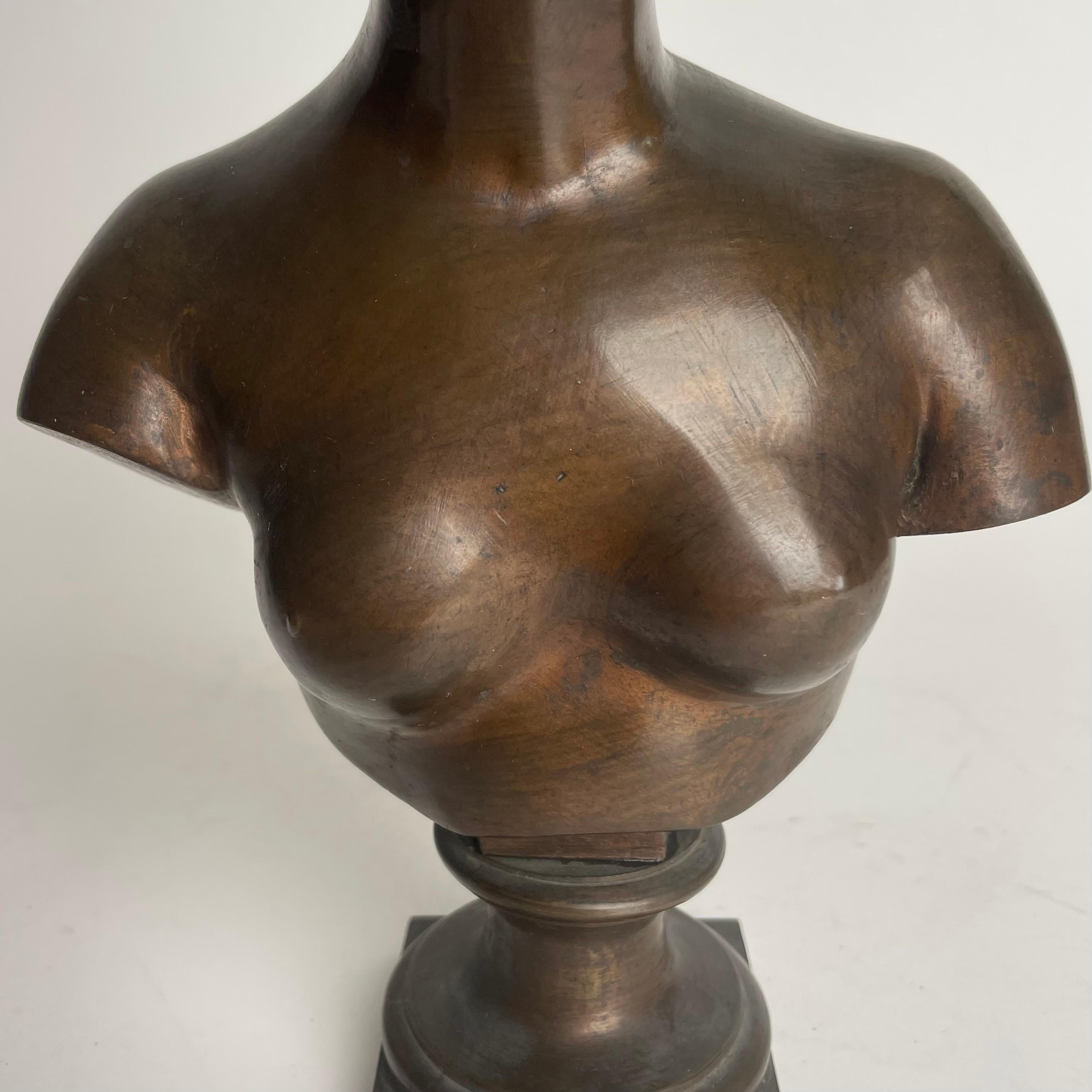 Beautiful Bust of Venus/Aphrodite in Bronze from the 19th Century For Sale 3