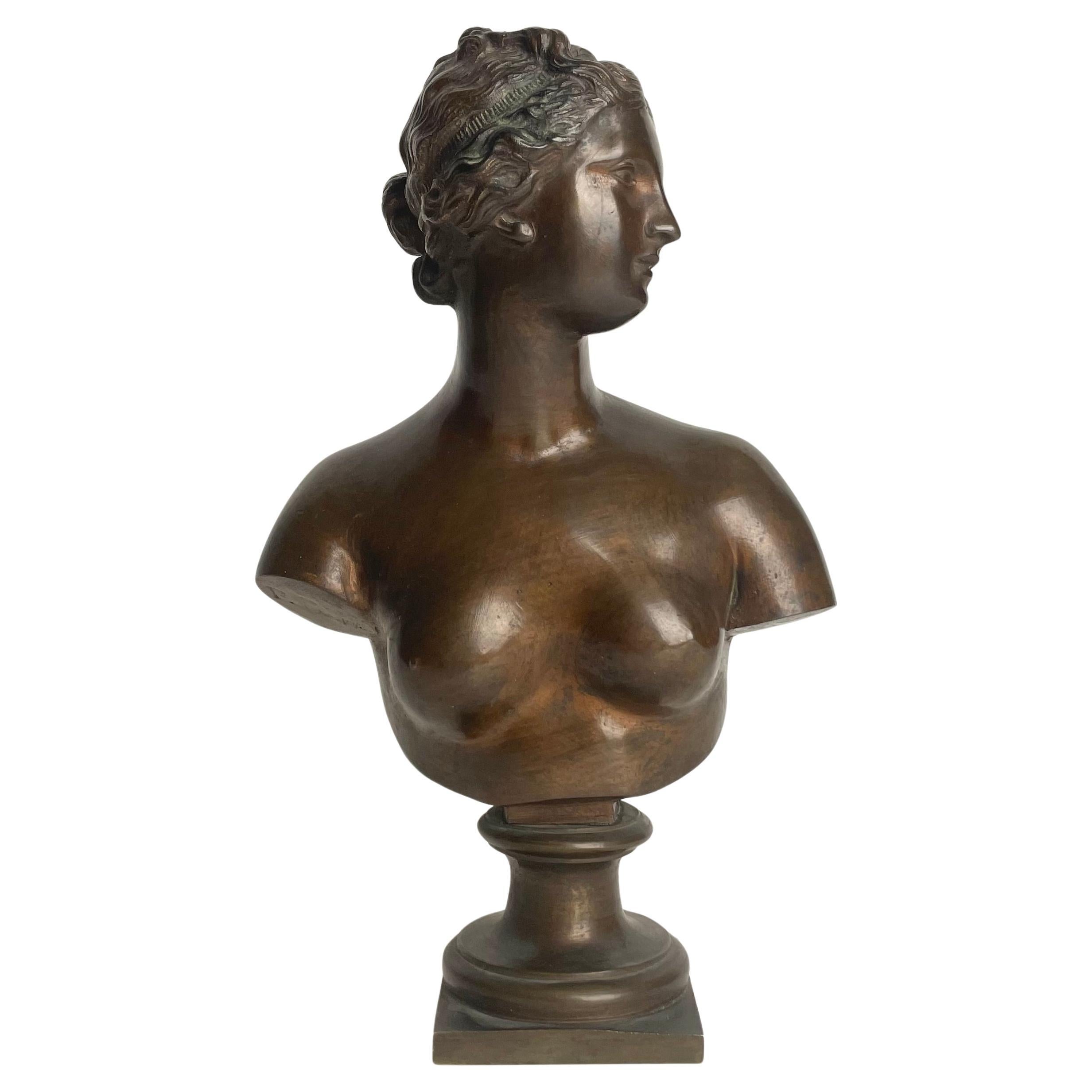 Bellissimo busto di Venere/Afrodite in bronzo del XIX secolo