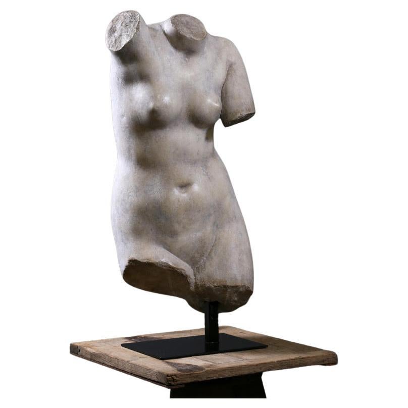 Beautiful Bust of Venus, the Goddess of Love, 20th Century. For Sale