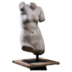 Beautiful Bust of Venus, the Goddess of Love, 20th Century.