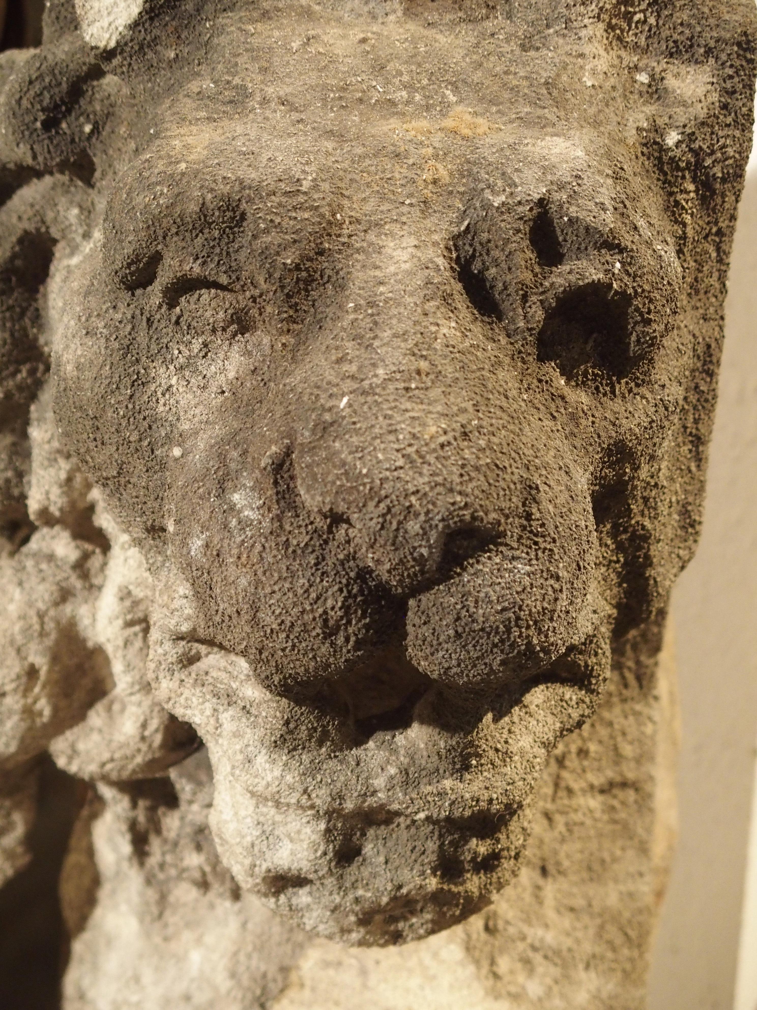 Beautiful Carved Limestone Lion Architectural, Burgundy France, 17th Century 6