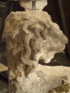 Beautiful Carved Limestone Lion Architectural, Burgundy France, 17th Century