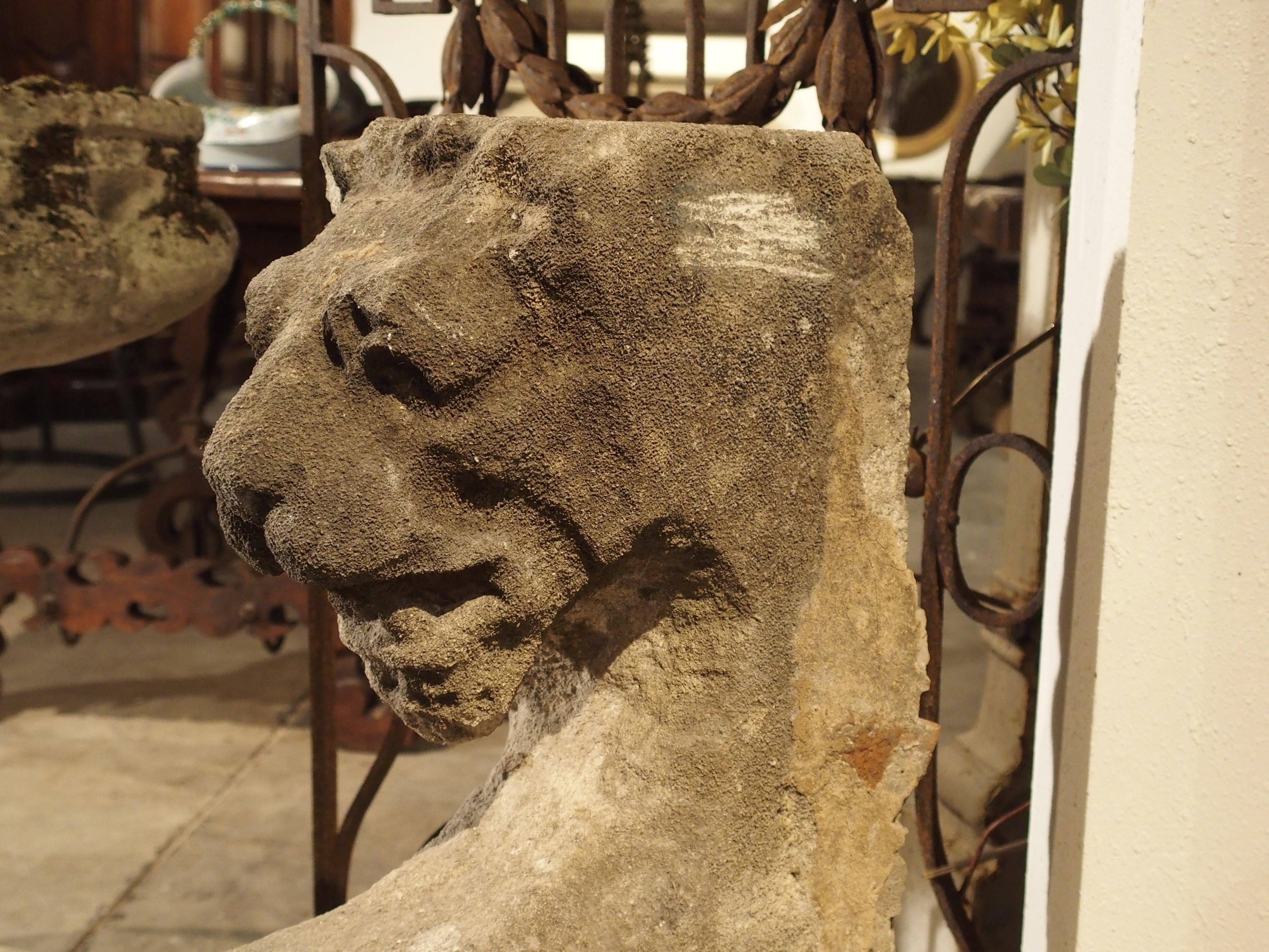 Beautiful Carved Limestone Lion Architectural, Burgundy France, 17th Century 2