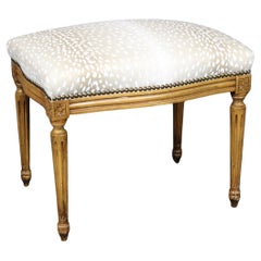 Schöne Gepard Druck Französisch Louis XVI Stil Nussbaum Fuß Hocker