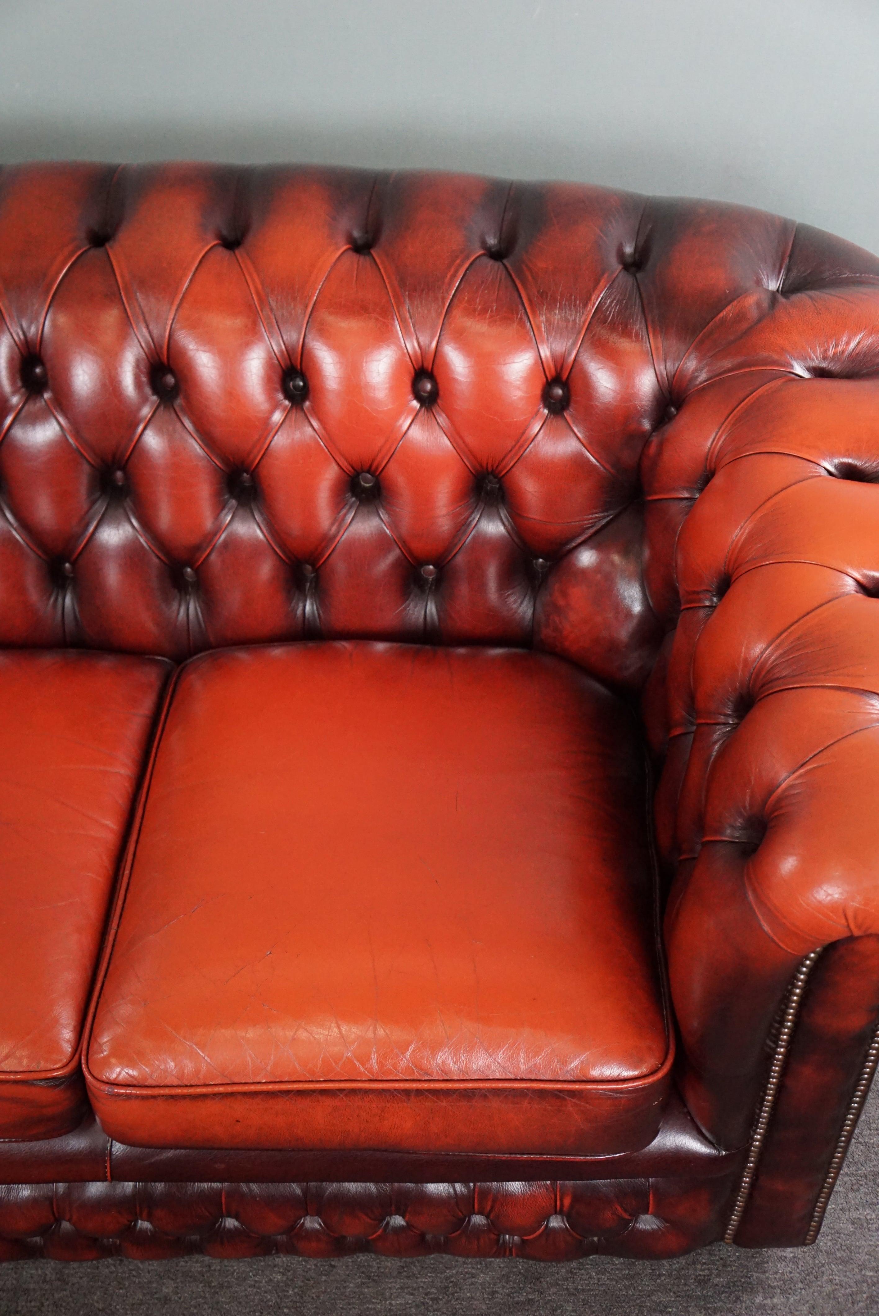 Schönes farbenfrohes rotes geräumiges Chesterfield-Sofa aus Rindsleder, 2,5 Sitze im Angebot 1