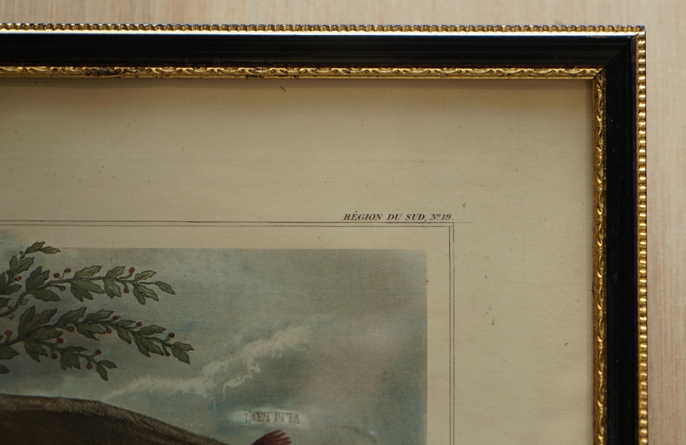 Milieu du XIXe siècle Magnifique carte à l'aquarelle française ancienne de 1856 en couleur, réalisée à la main, du département des La Corse en vente