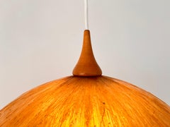 Beautiful Design Midcentury Cocoon Resin Pendant, 1950s