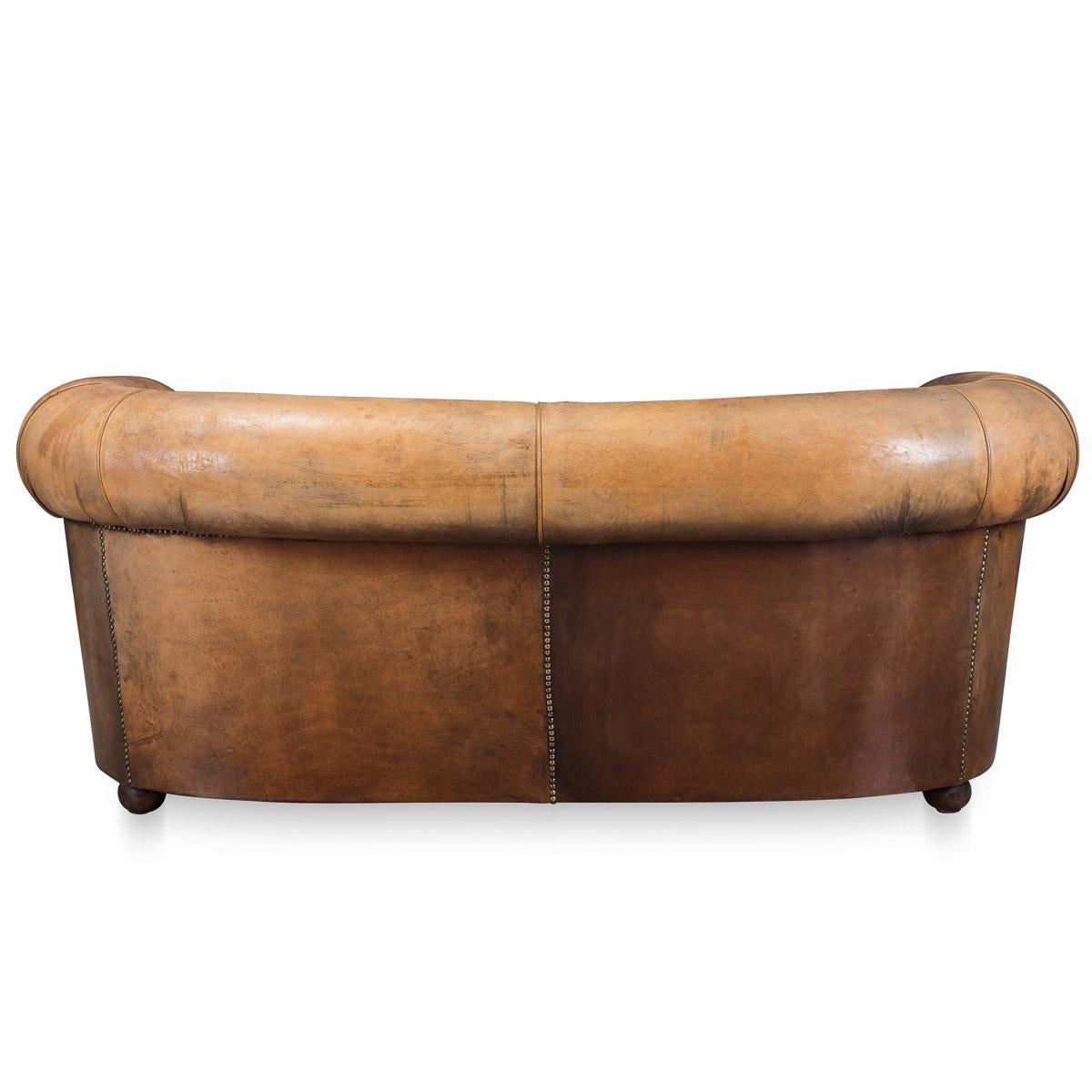 20th Century Beautiful Dutch Rich Tan Leather Sofa, circa 1960