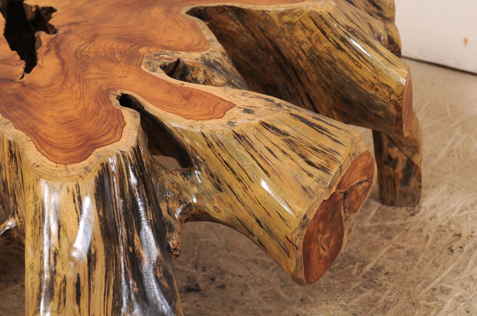 Wood Beautiful European Tree Root Coffee Table For Sale