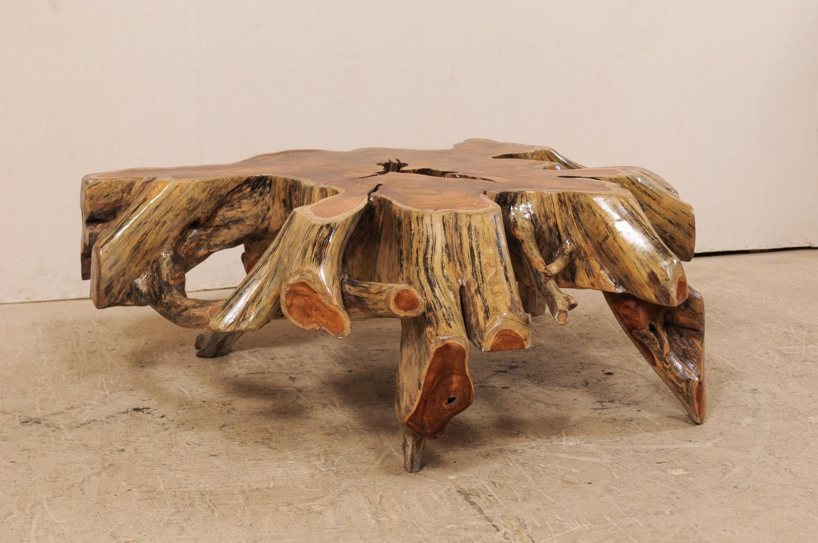 A European wooden tree root coffee table. This natural wood coffee table has been fashioned with the use of a 19th century European tree root/stump, with intertwining roots which gives it an organic and airy feel. There is a nice contrast of colors