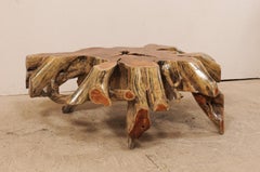 Beautiful European Tree Root Coffee Table