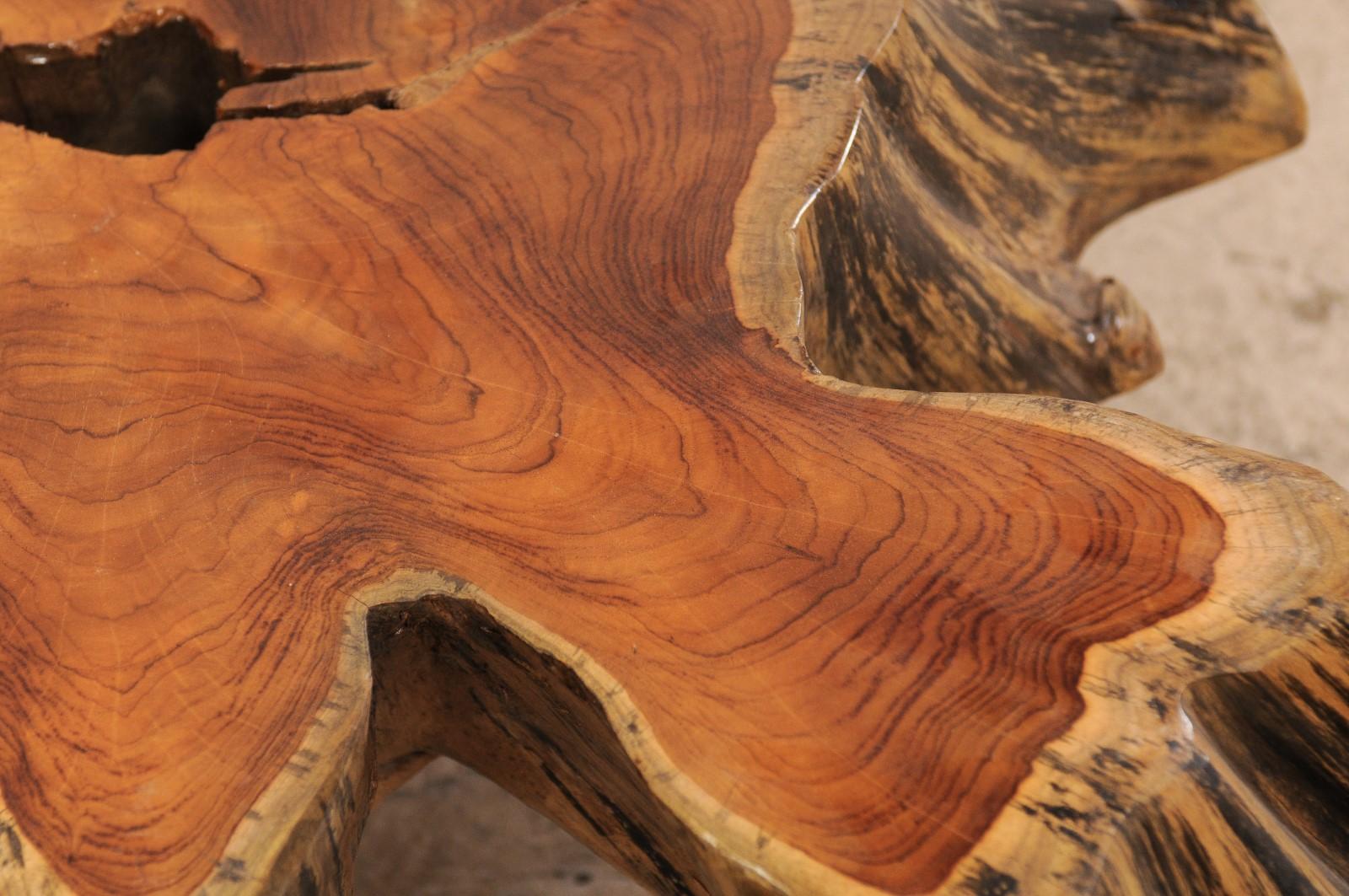 Intagliato Bellissimo tavolino europeo con radici d'albero in vendita
