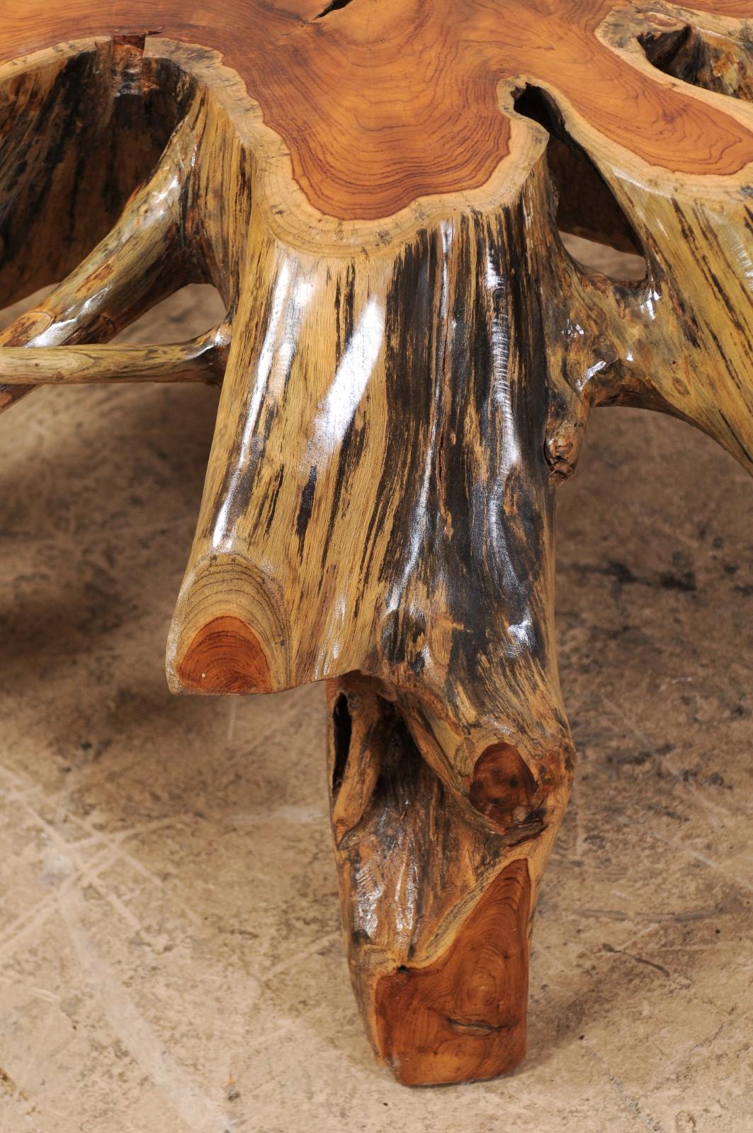 19th Century Beautiful European Tree Root Coffee Table For Sale