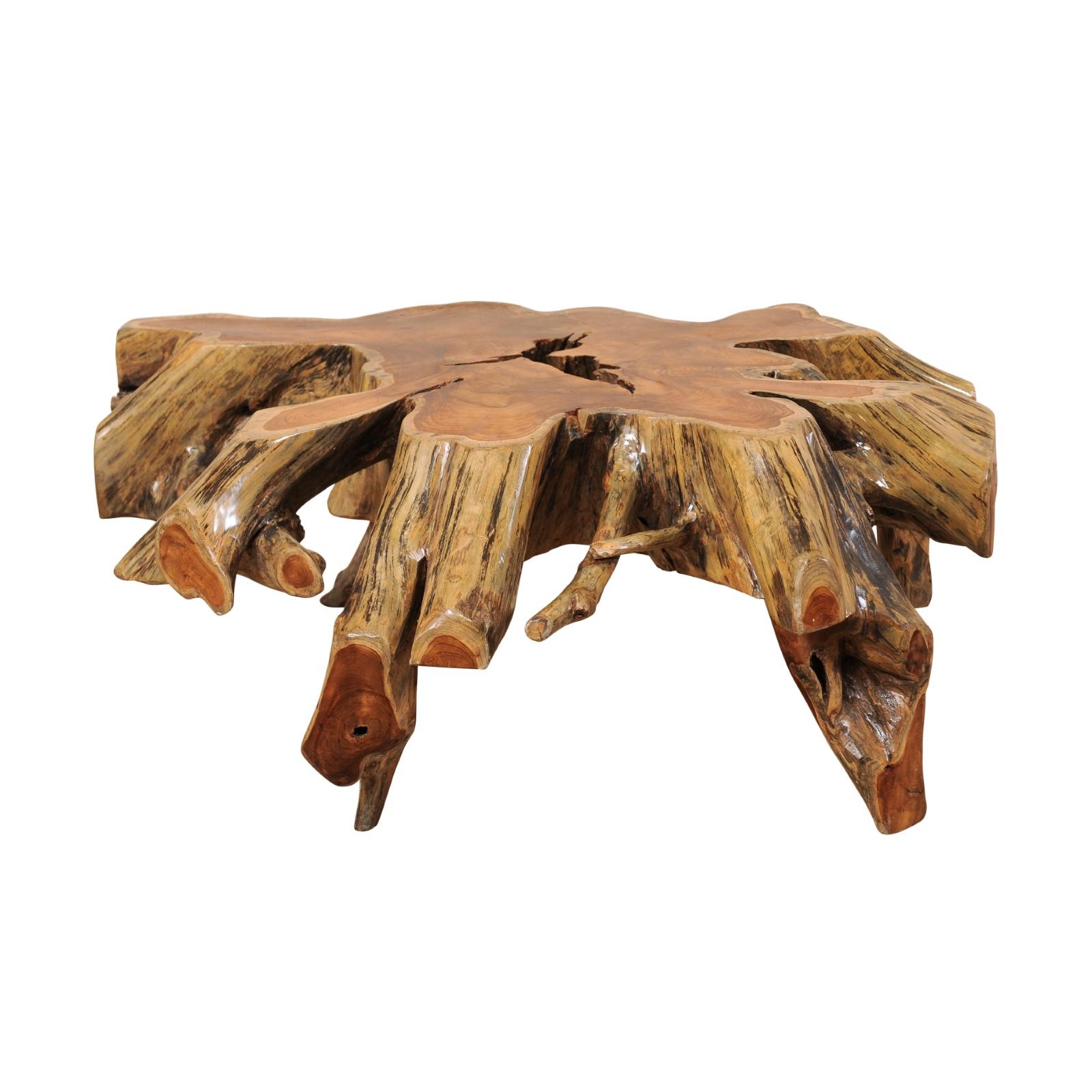 Beautiful European Tree Root Coffee Table For Sale