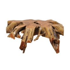 Beautiful European Tree Root Coffee Table