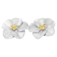 Beautiful Flower Petal Earrings in 14K White Gold