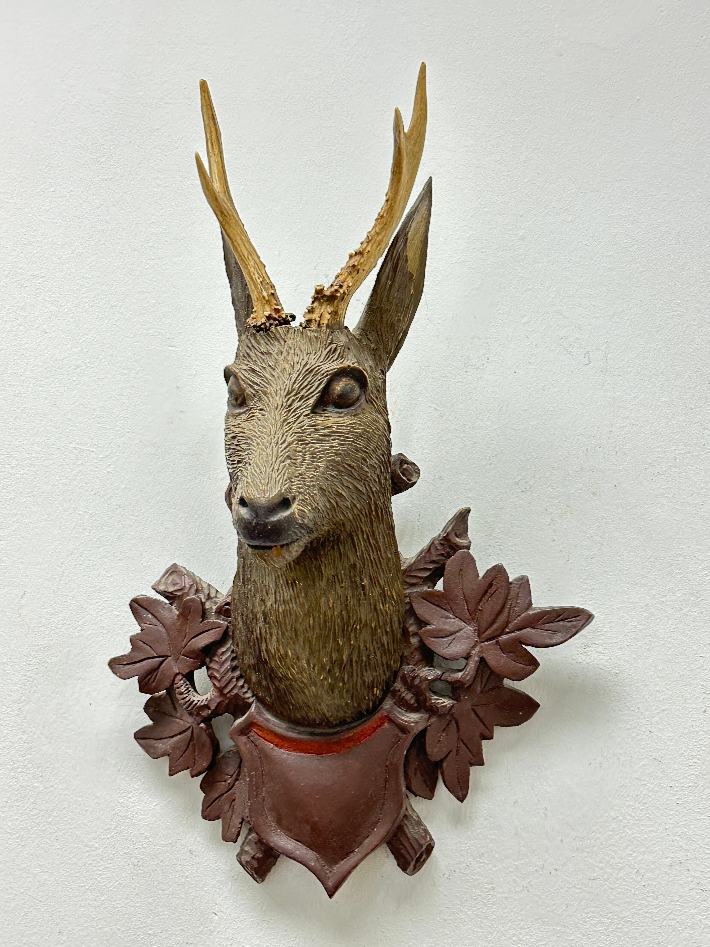 Beautiful Folk Art Wood Carved Deer Head with Real Antlers, Germany 19th Century 7