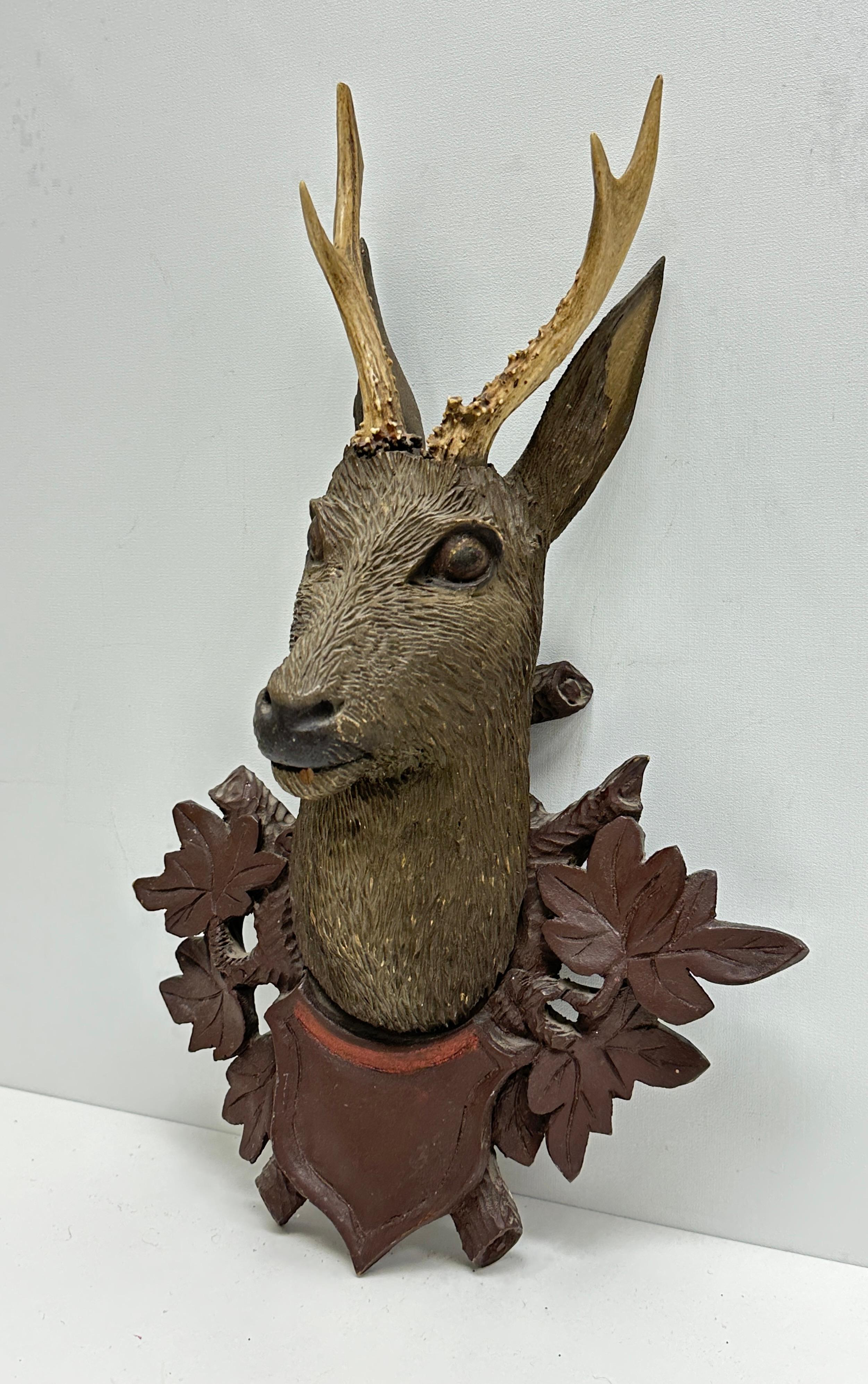 Beautiful Folk Art Wood Carved Deer Head with Real Antlers, Germany 19th Century 9
