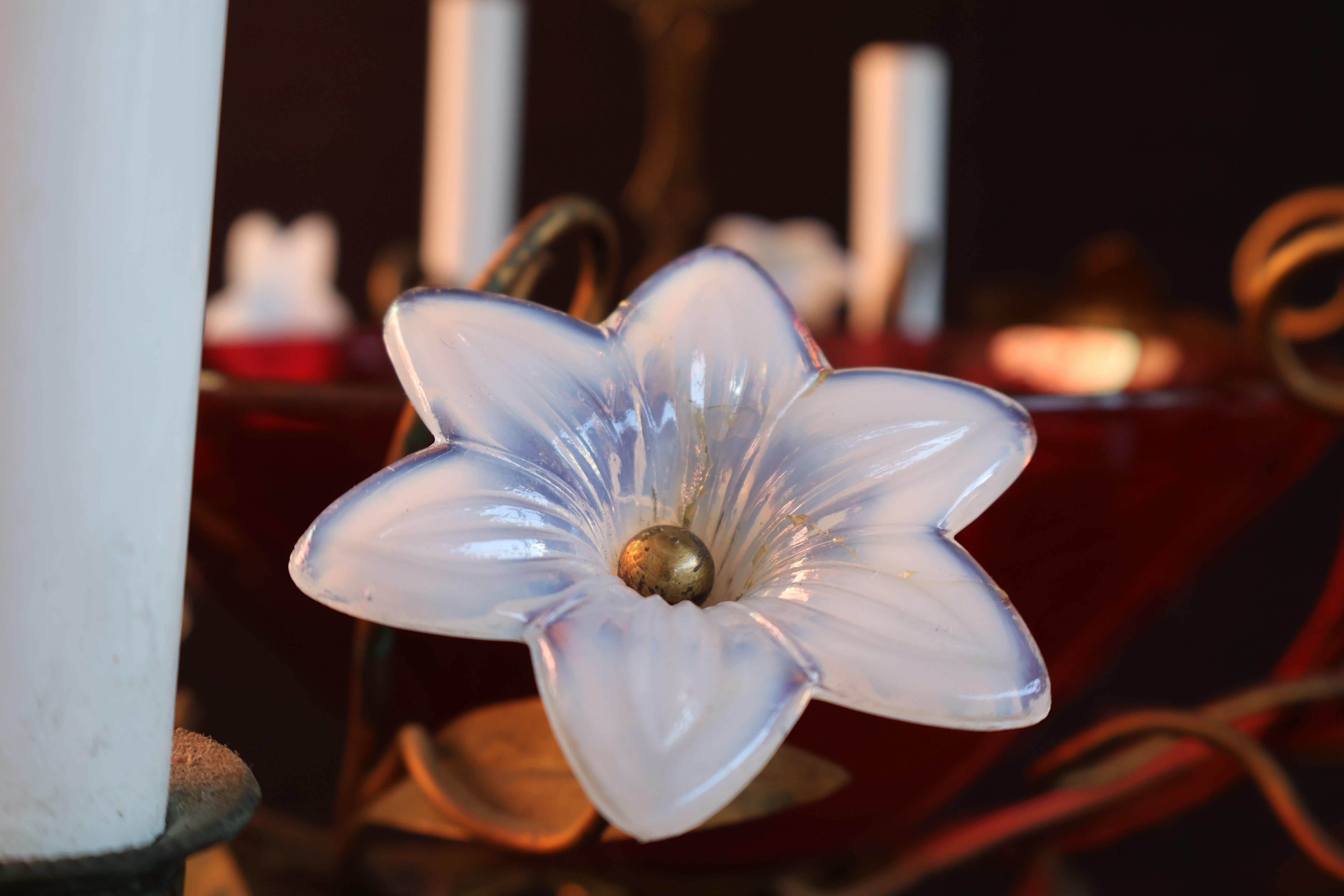 Preciosa lámpara de araña francesa de finales del siglo XIX en venta 2