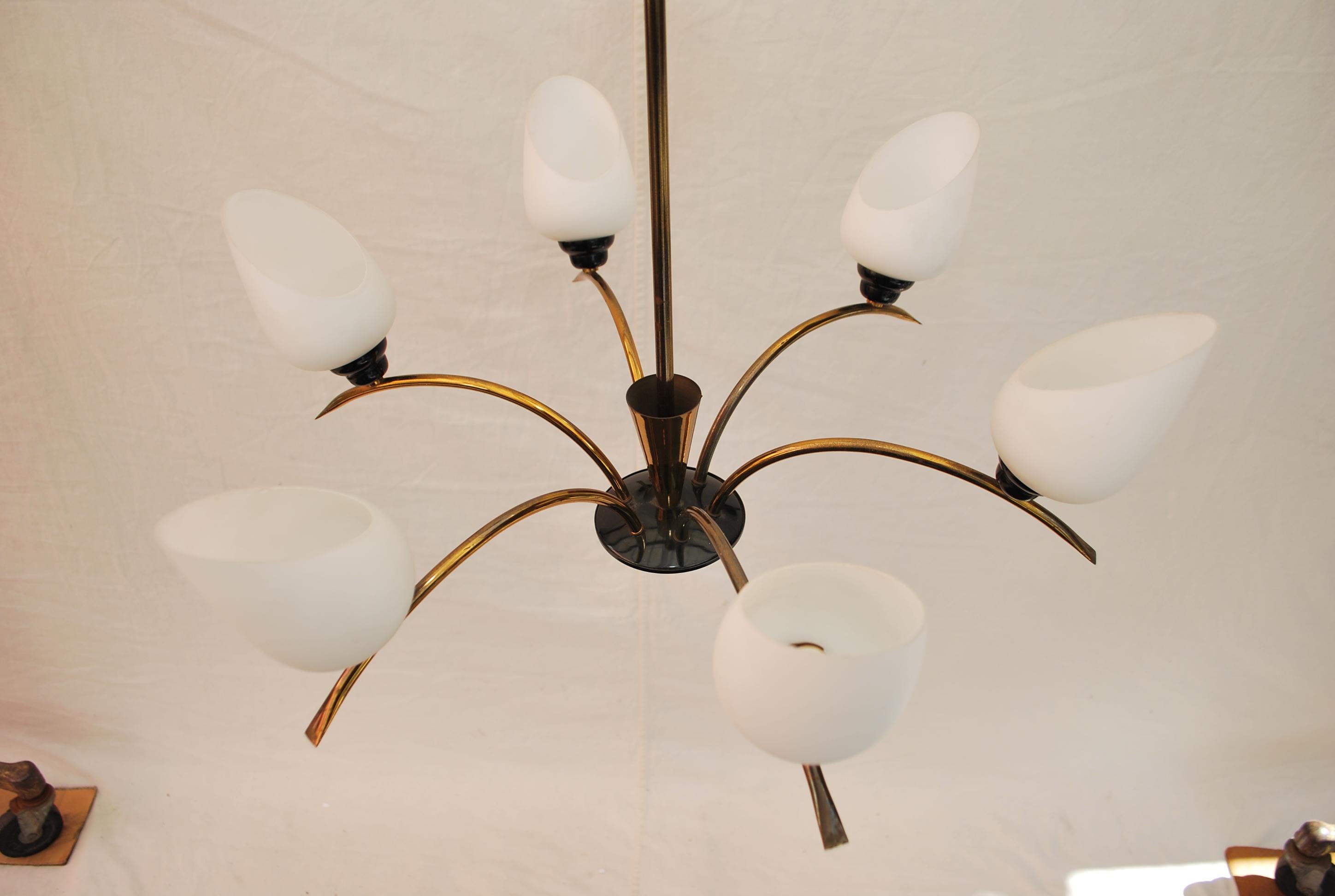 Beautiful French Mid-Century Chandelier Attributed to Maison Arlus For Sale 4