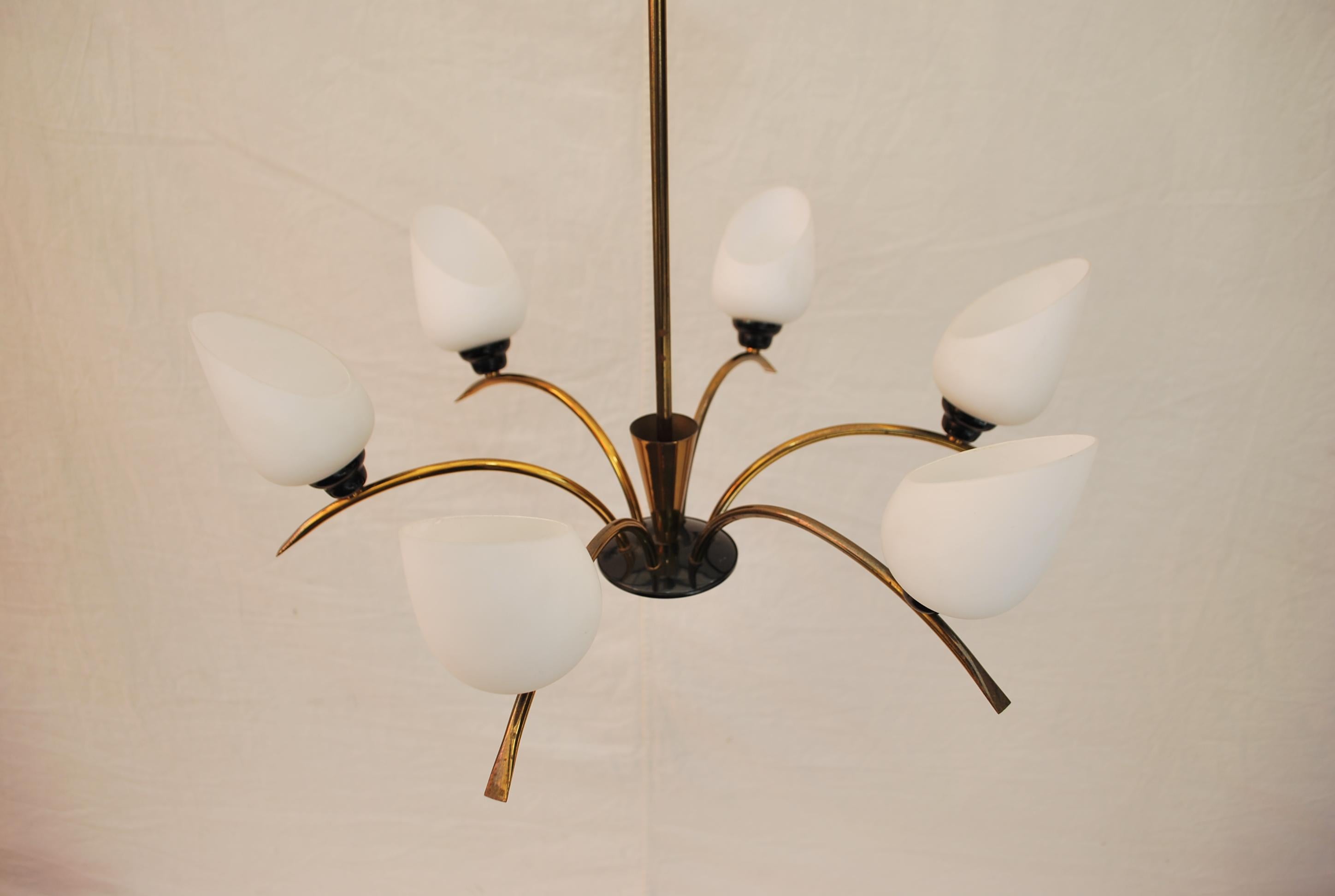 Beautiful French Mid-Century Chandelier Attributed to Maison Arlus For Sale 6