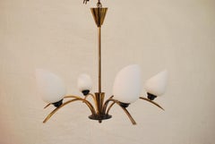 Beautiful French Mid-Century Chandelier Attributed to Maison Arlus