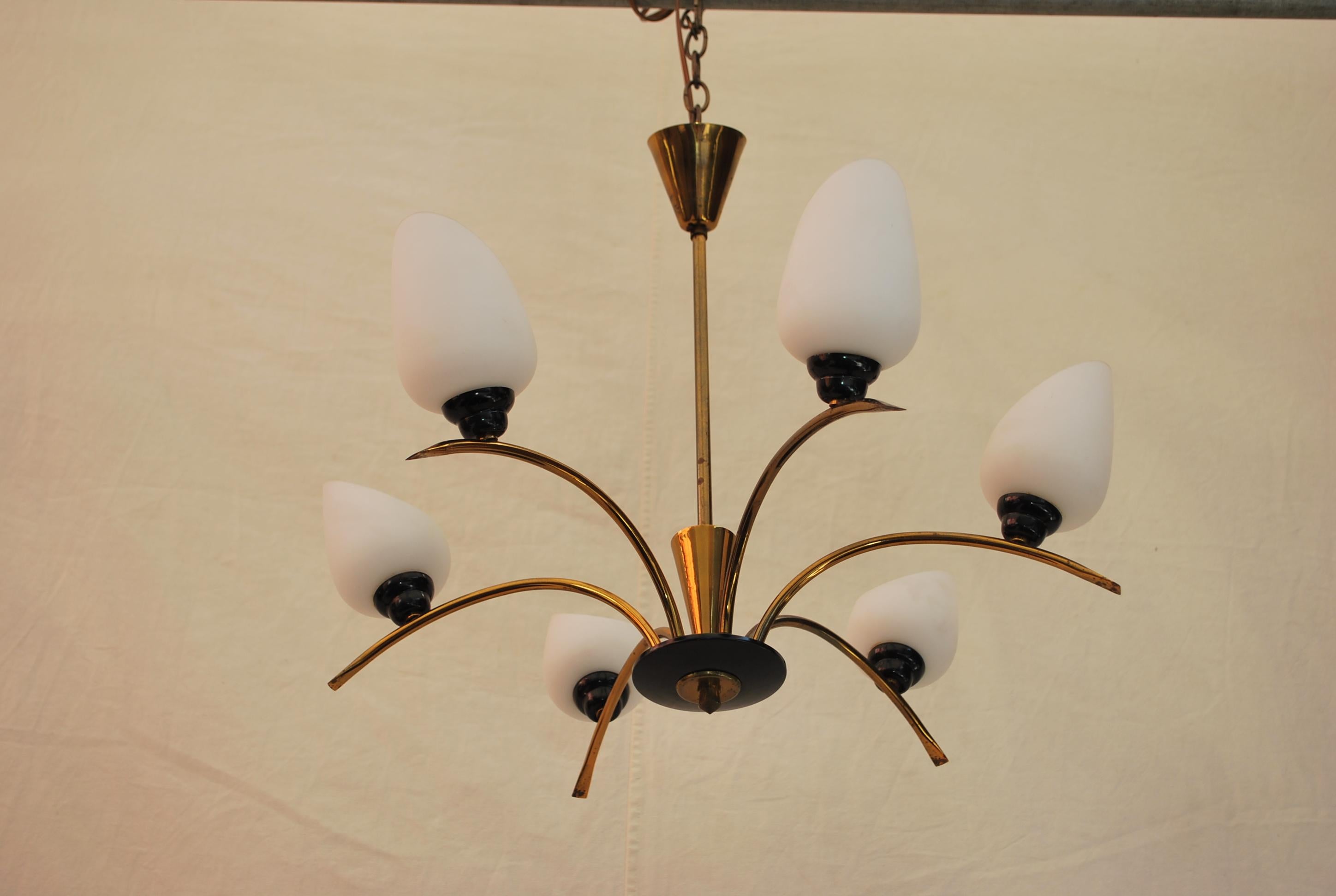 Mid-Century Modern Beautiful French Mid-Century Chandelier Attributed to Maison Arlus For Sale