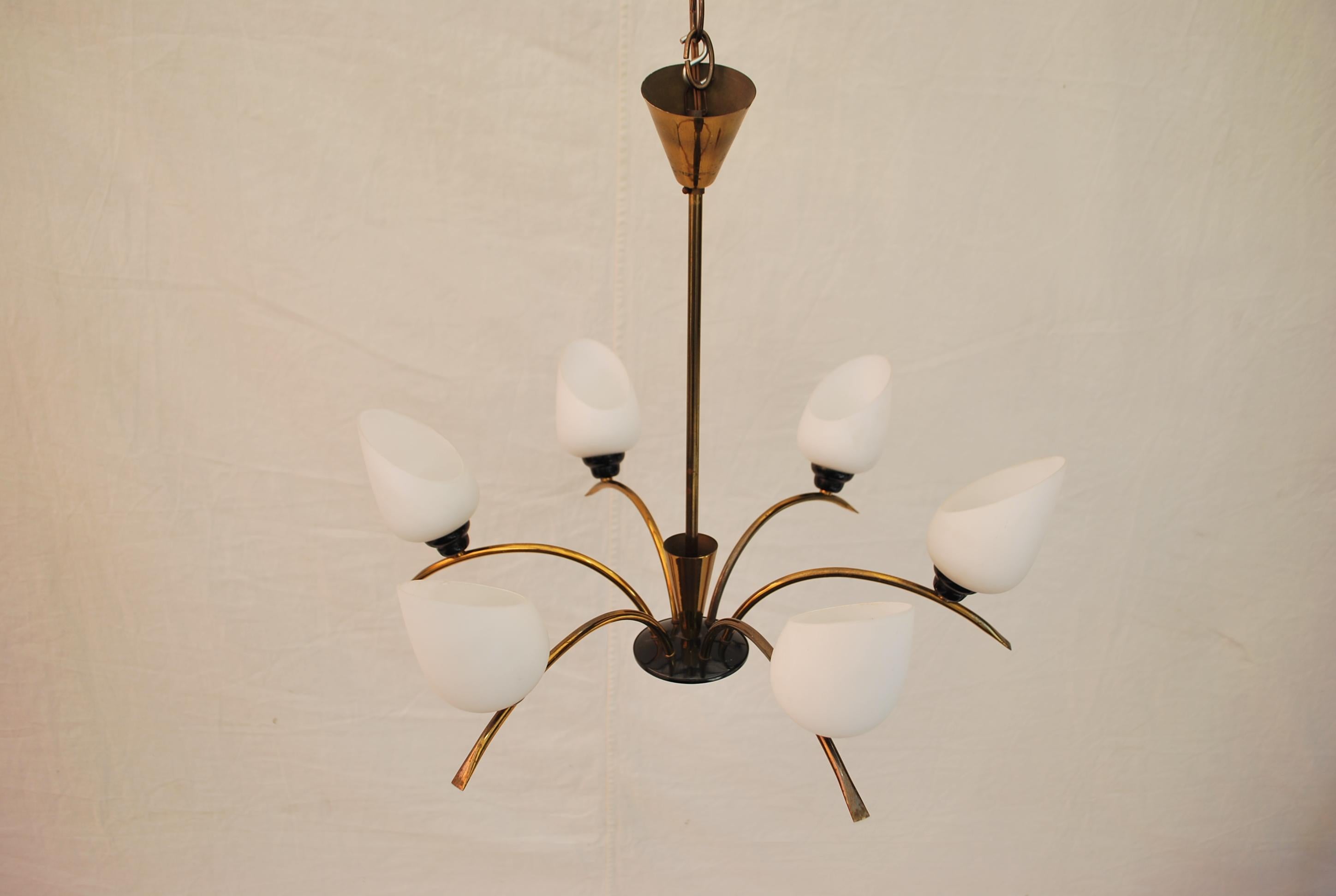 Beautiful French Mid-Century Chandelier Attributed to Maison Arlus For Sale 2